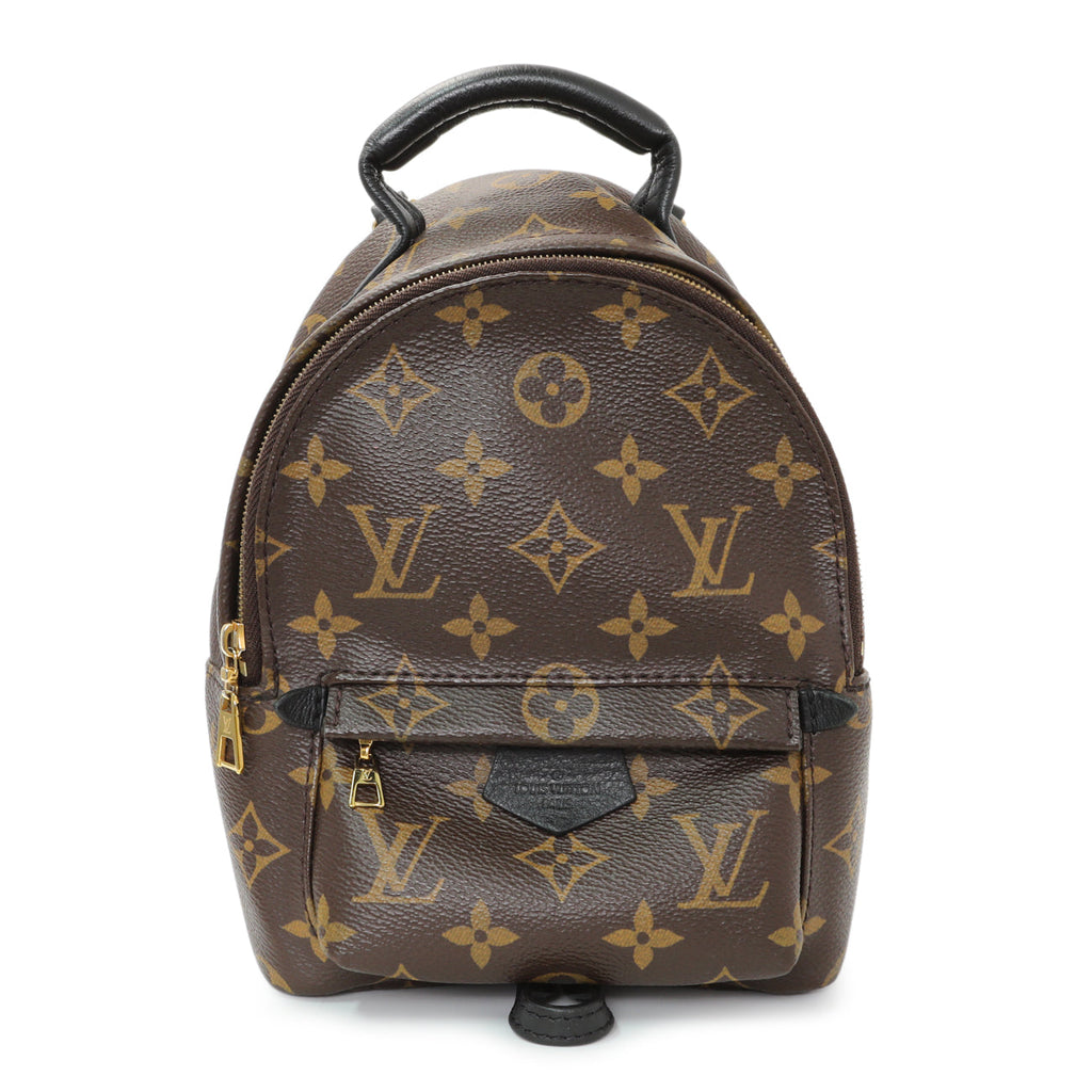 Louis Vuitton Monogram Palm Springs Backpack Mini