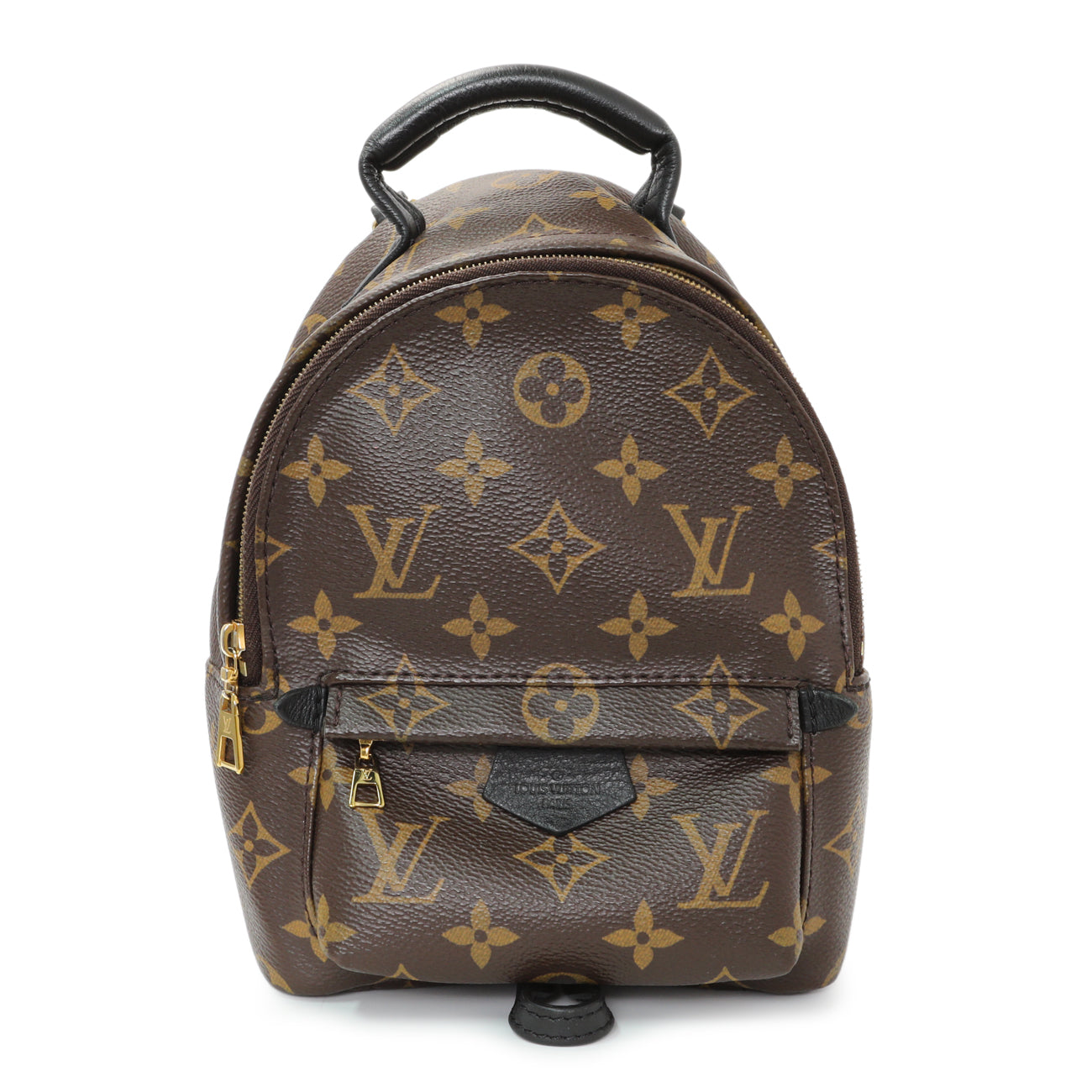 Louis Vuitton Monogram Palm Springs Backpack Mini