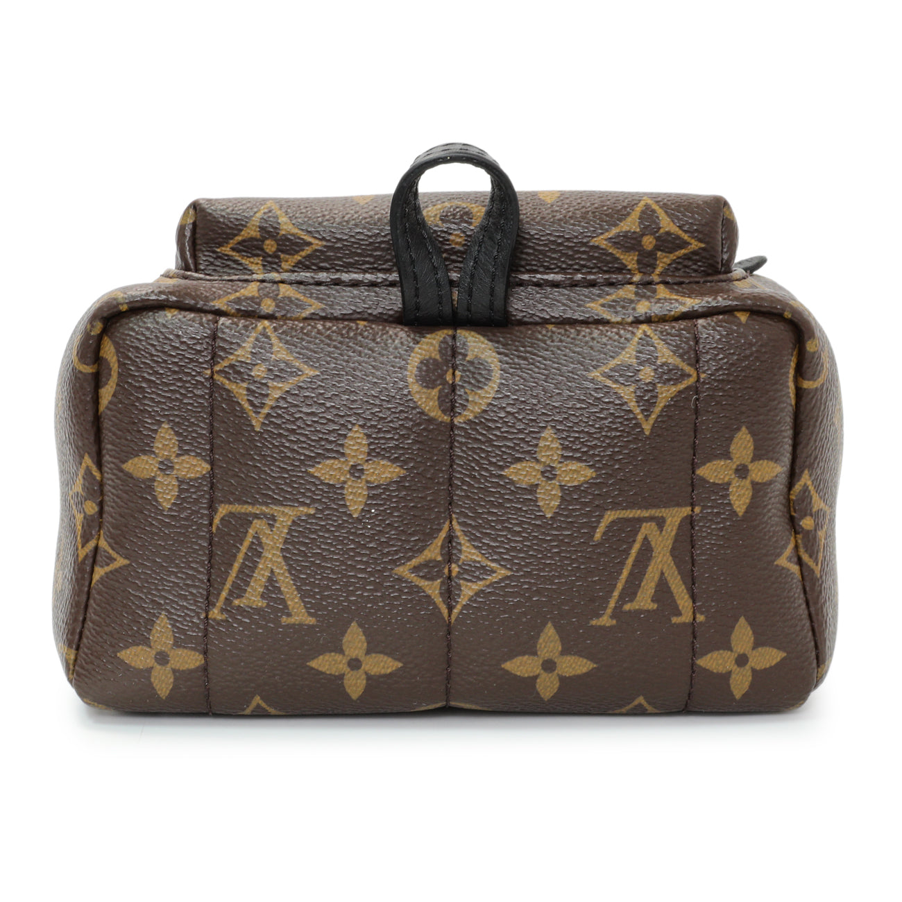 Louis Vuitton Monogram Palm Springs Backpack Mini