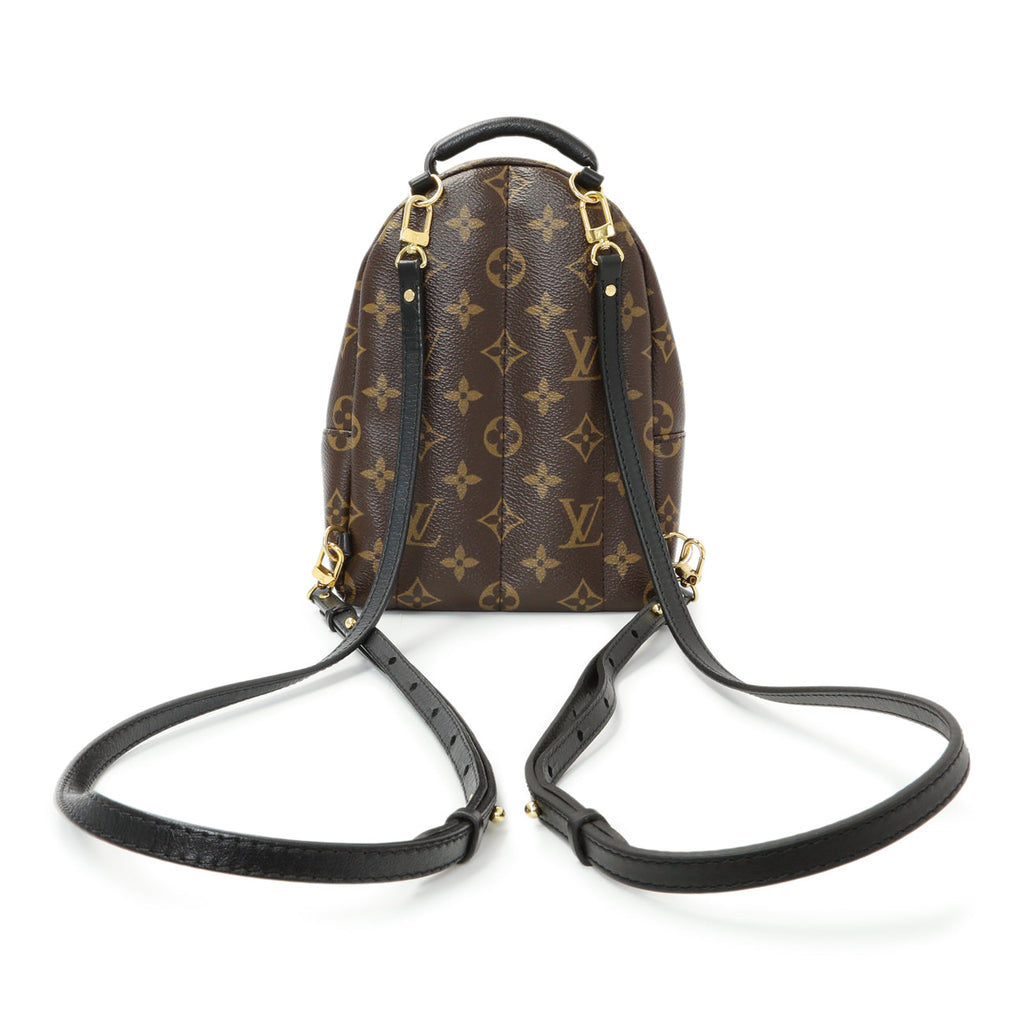 Louis Vuitton Monogram Palm Springs Backpack Mini