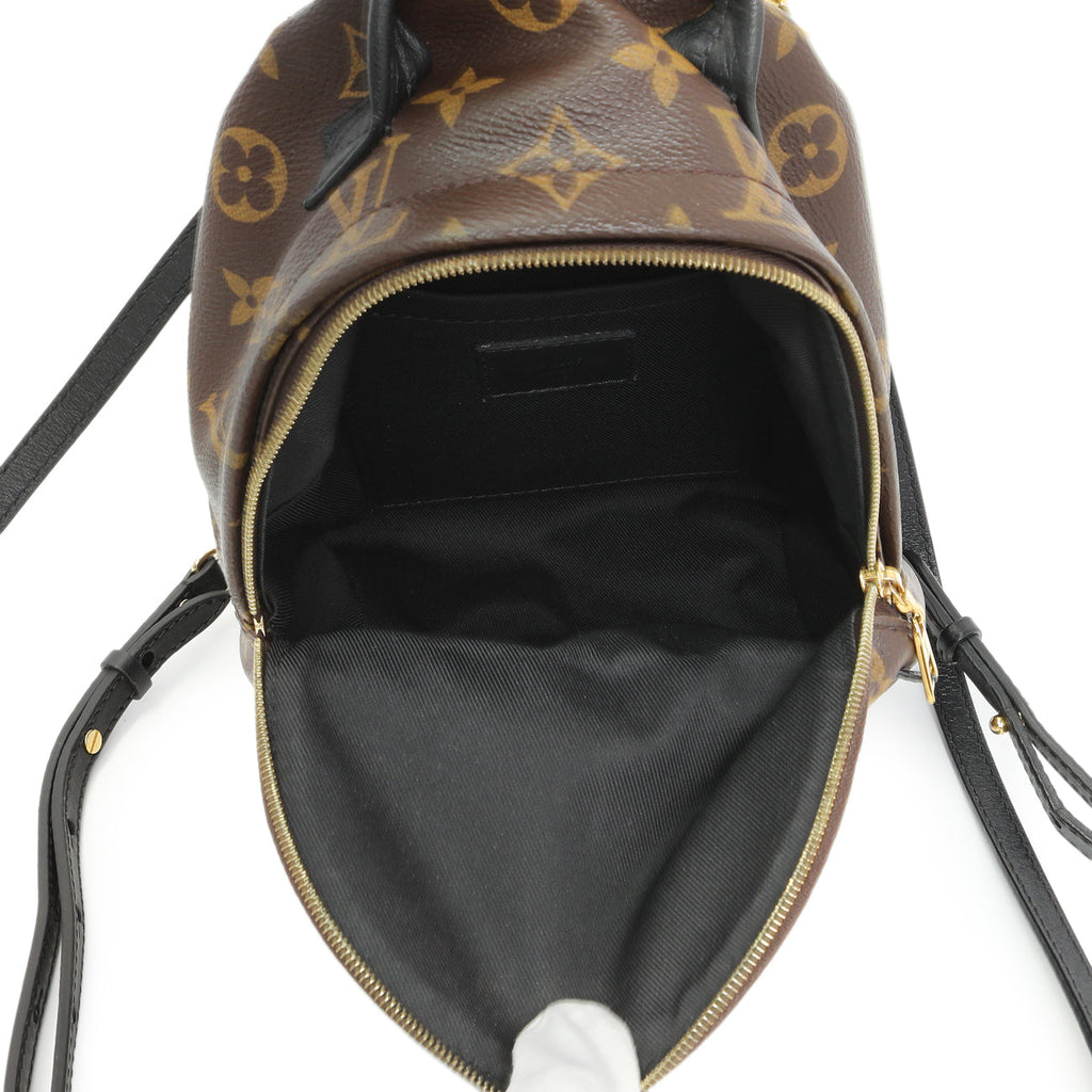 Louis Vuitton Monogram Palm Springs Backpack Mini