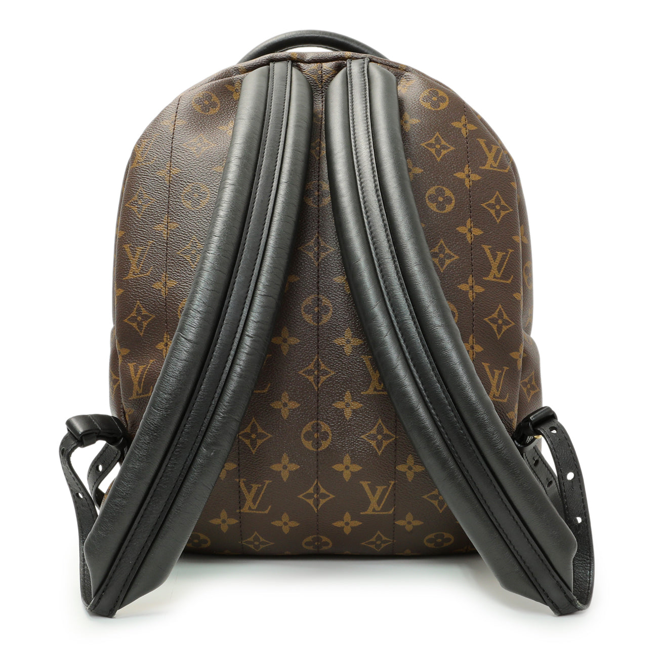 Louis Vuitton Monogram Palm Springs Backpack MM