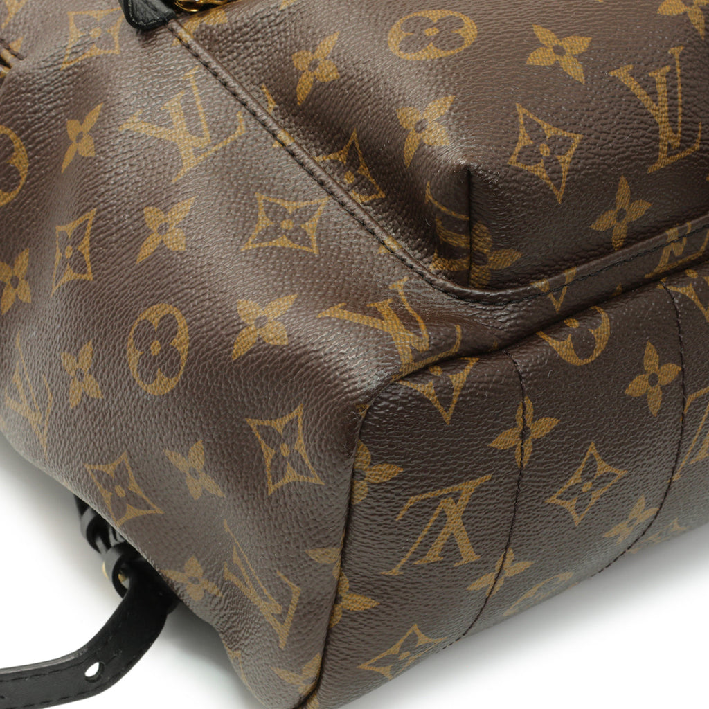 Louis Vuitton Monogram Palm Springs Backpack MM
