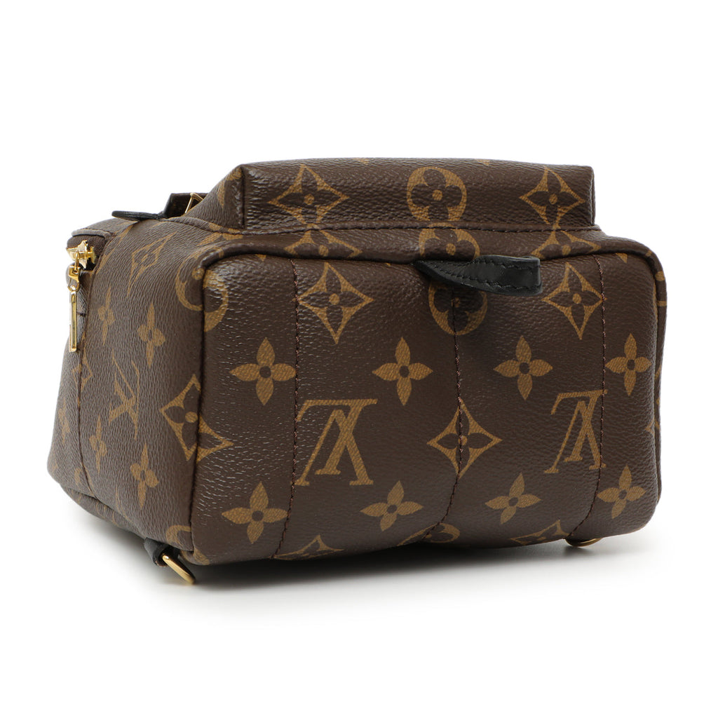 Louis Vuitton Monogram Palm Springs Backpack Mini
