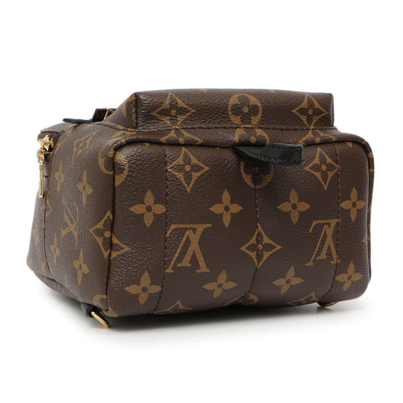 Louis Vuitton Monogram Palm Springs Backpack Mini