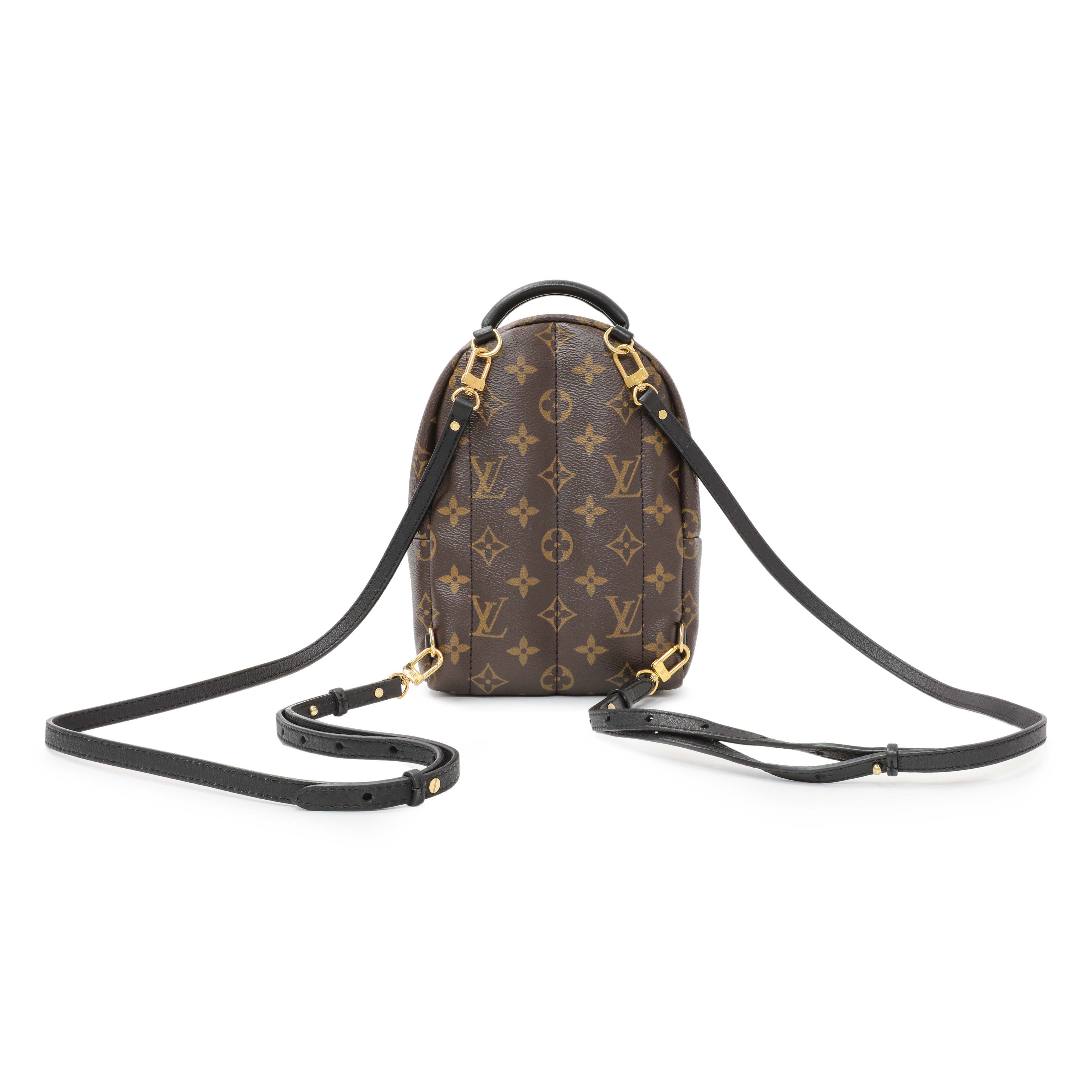 Louis Vuitton Monogram Palm Springs Backpack Mini