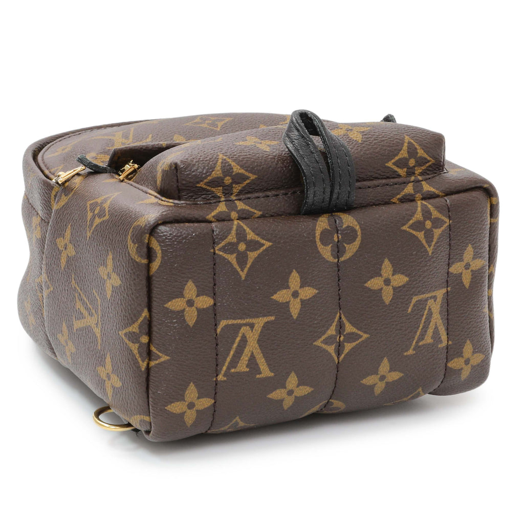 Louis Vuitton Monogram Palm Springs Backpack Mini