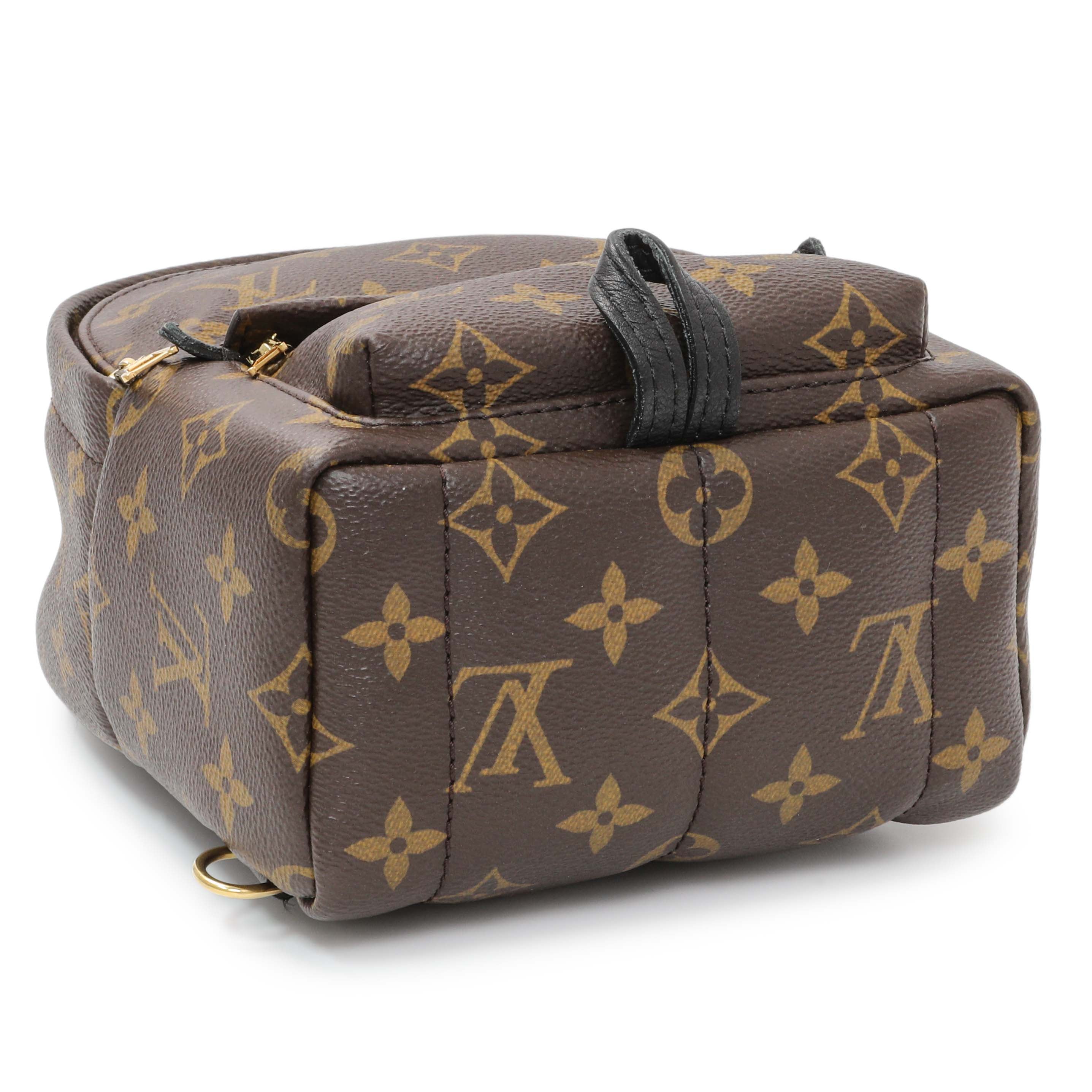 Louis Vuitton Monogram Palm Springs Backpack Mini