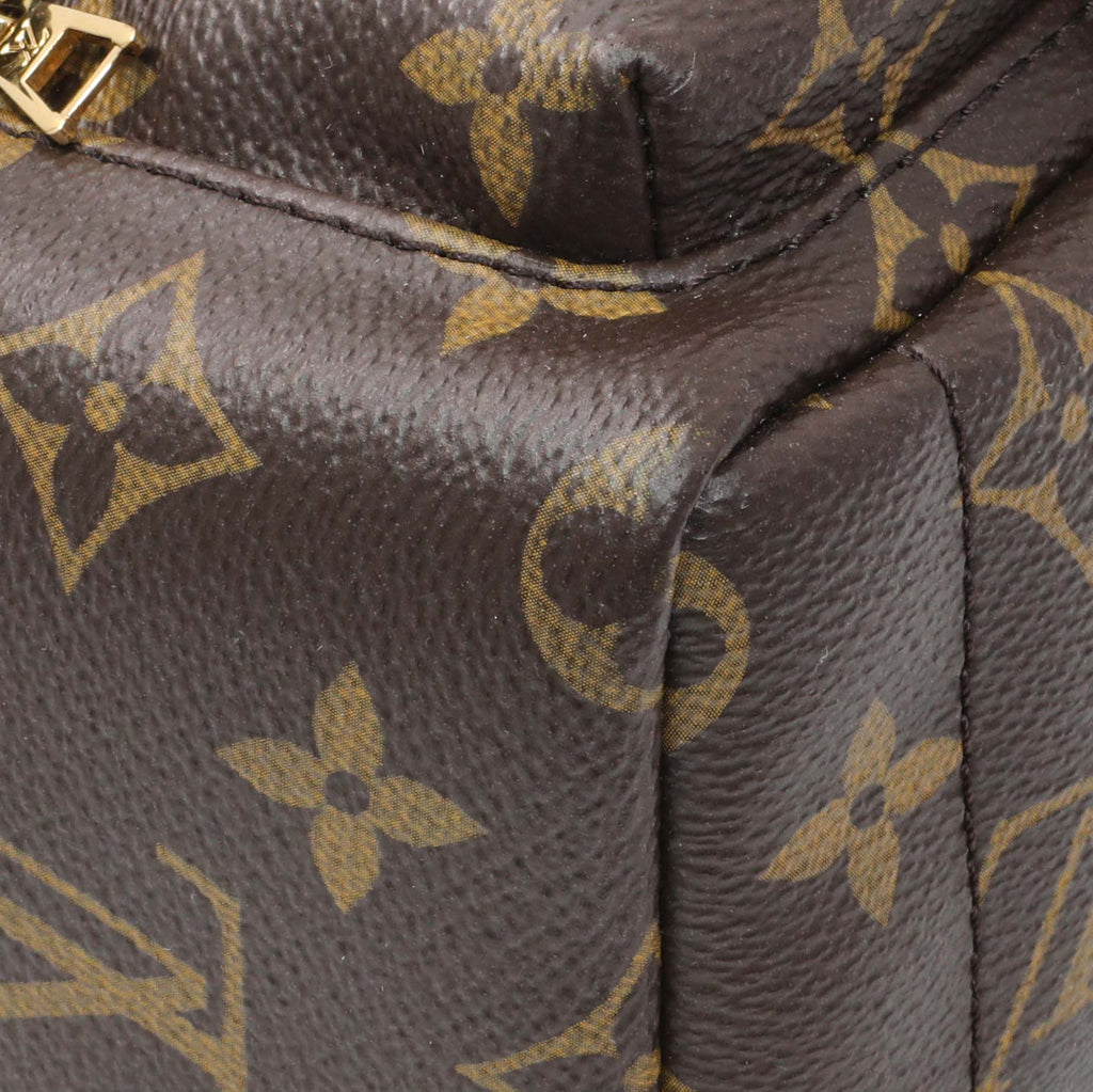 Louis Vuitton Monogram Palm Springs Backpack Mini