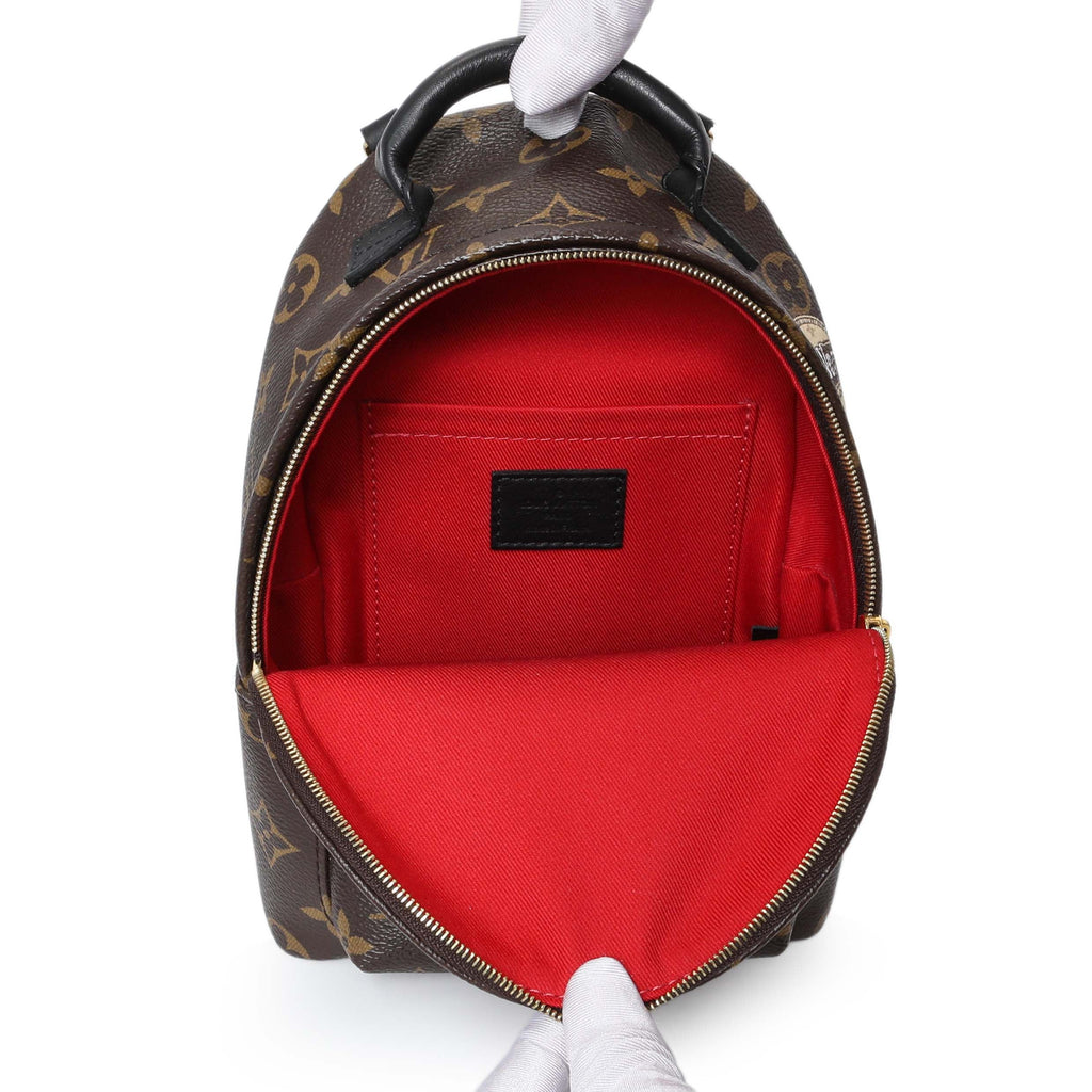 Louis Vuitton Monogram Palm Springs Backpack Mini