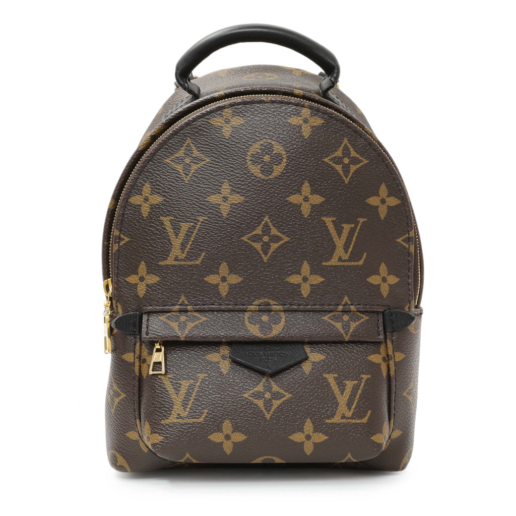 Louis Vuitton Monogram Palm Springs Backpack Mini