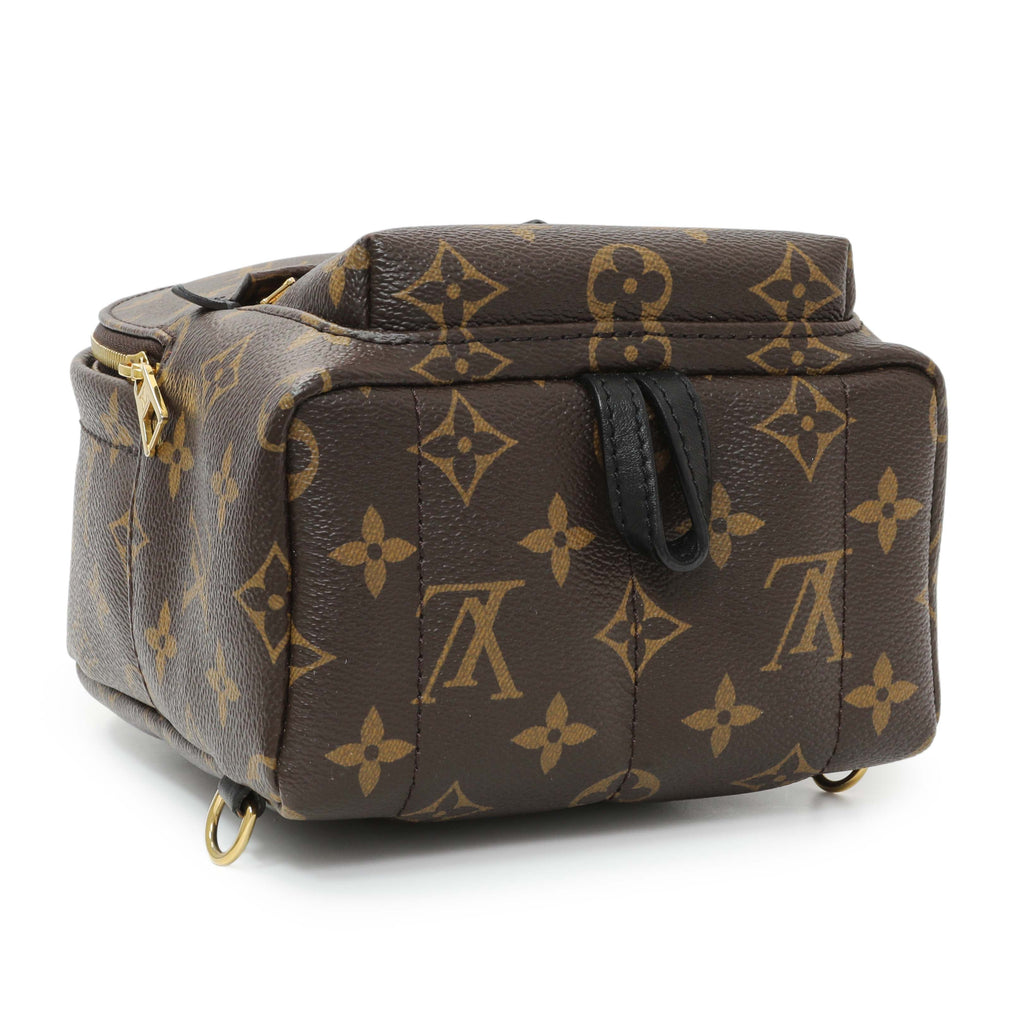 Louis Vuitton Monogram Palm Springs Backpack Mini