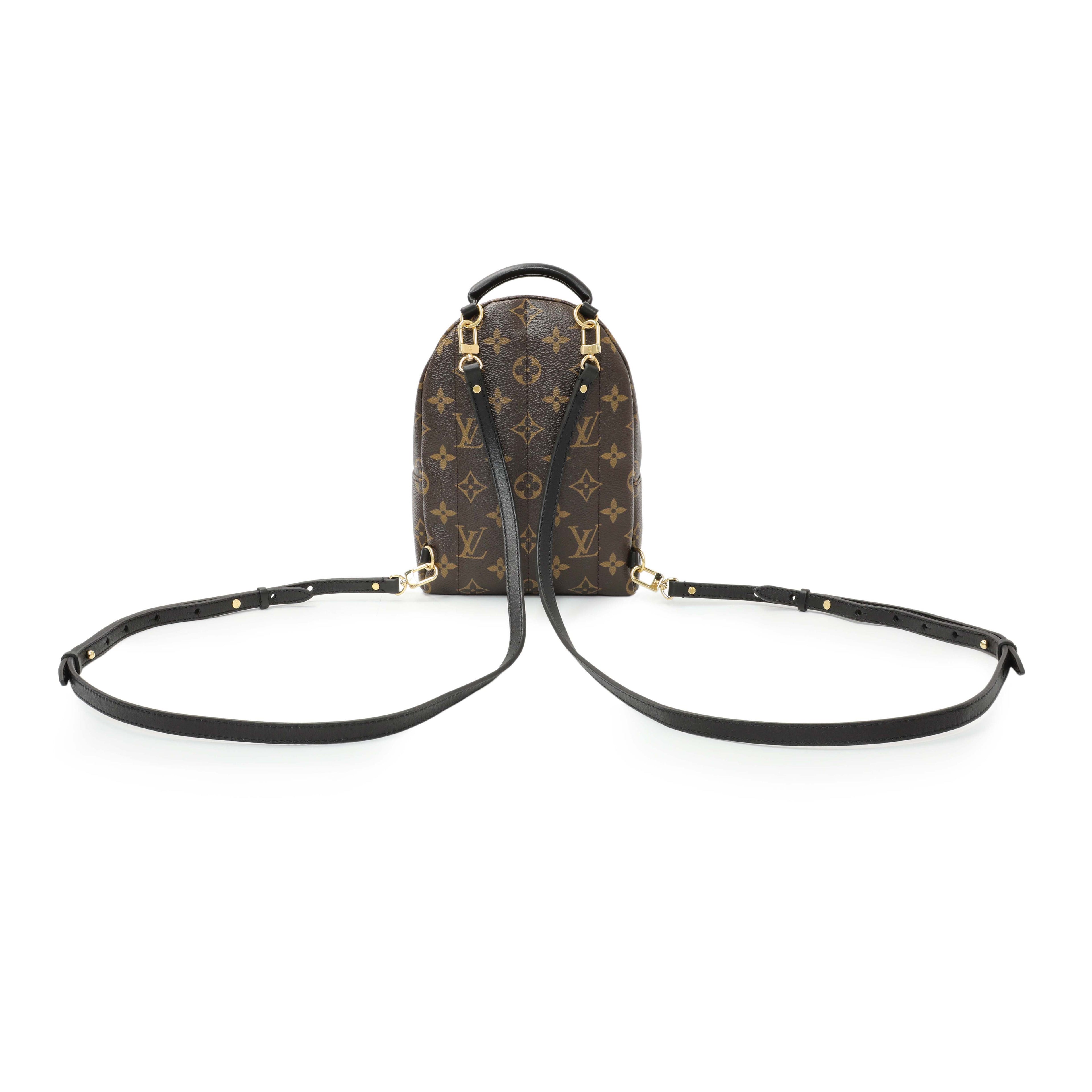Louis Vuitton Monogram Palm Springs Backpack Mini