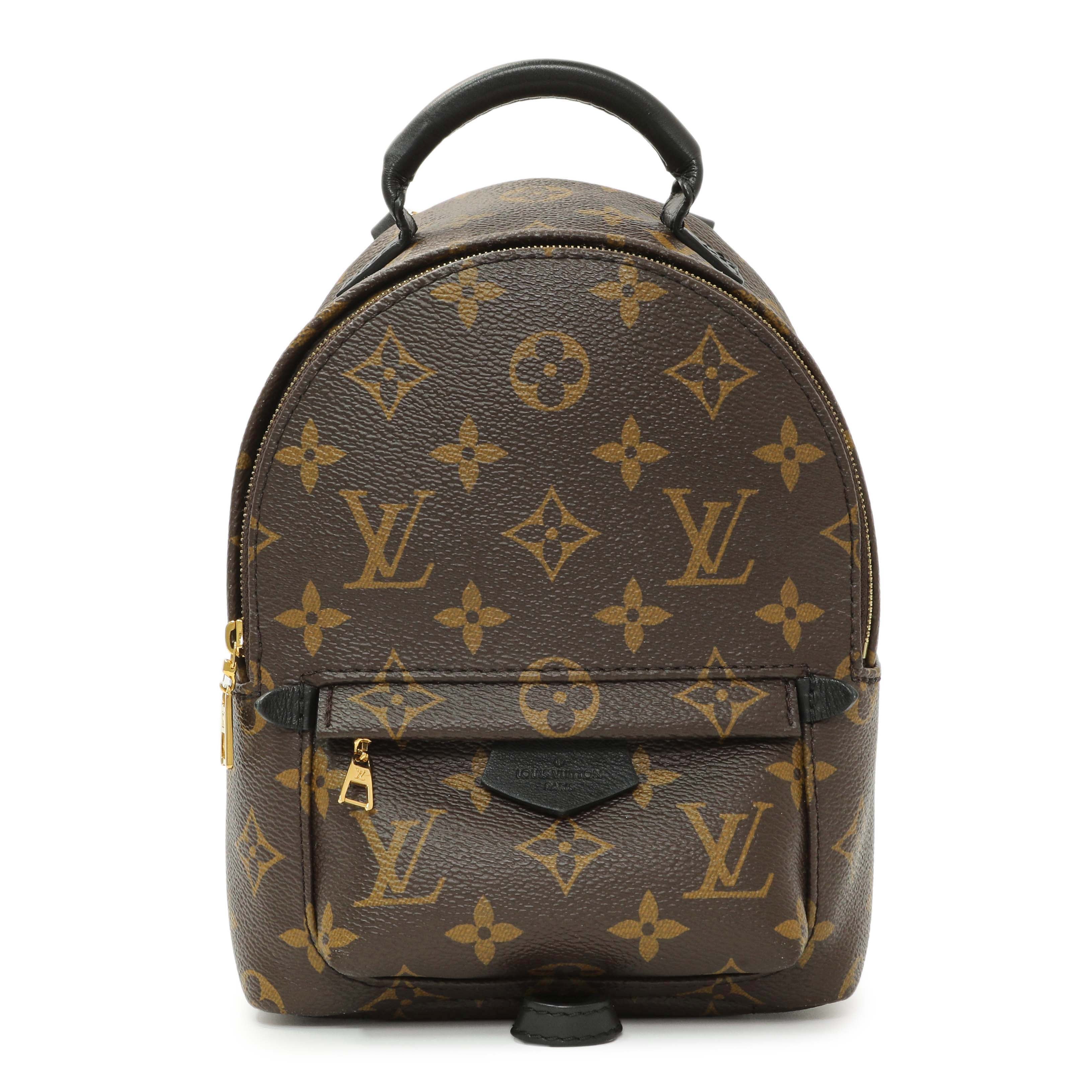 Louis Vuitton Monogram Palm Springs Backpack Mini