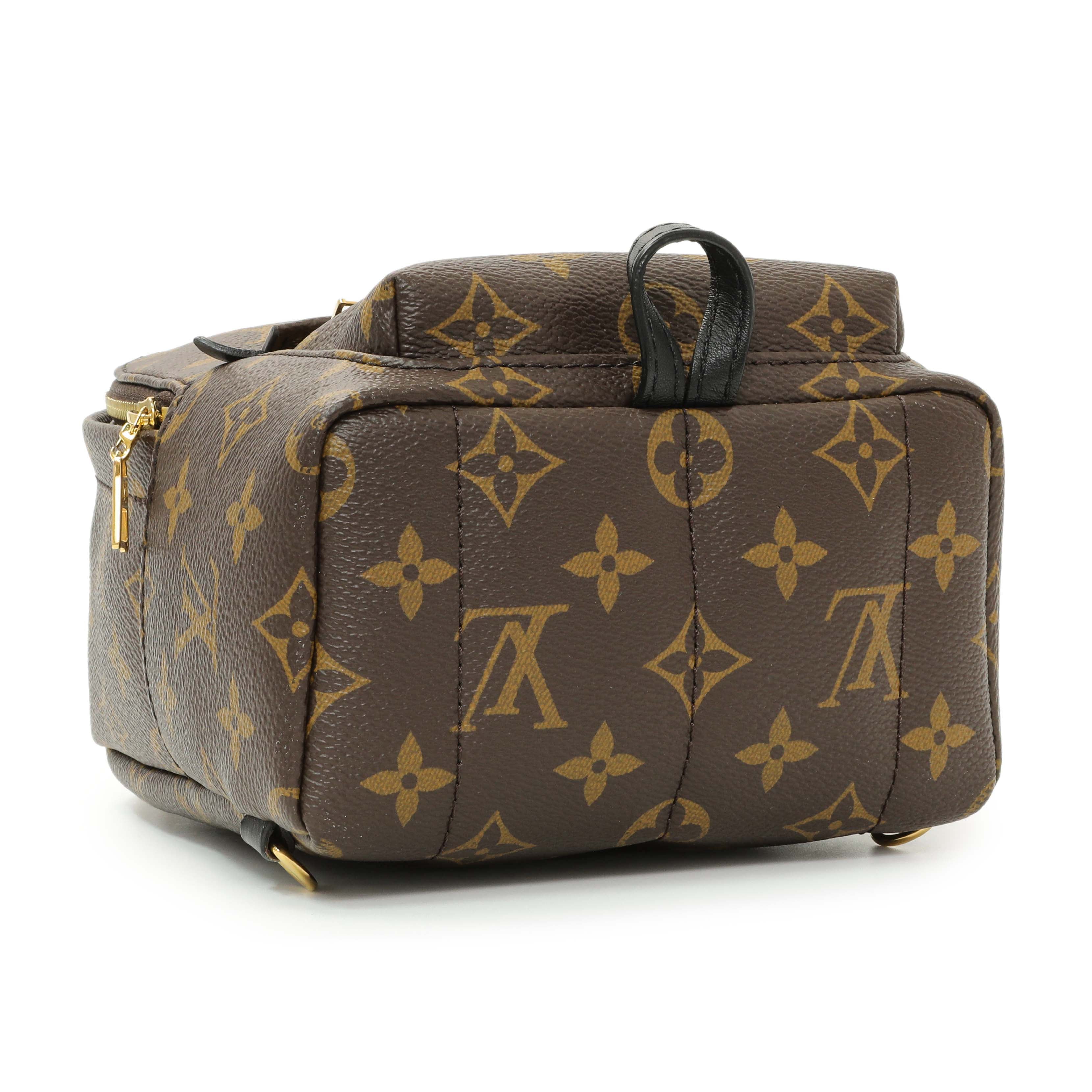 Louis Vuitton Monogram Palm Springs Backpack Mini