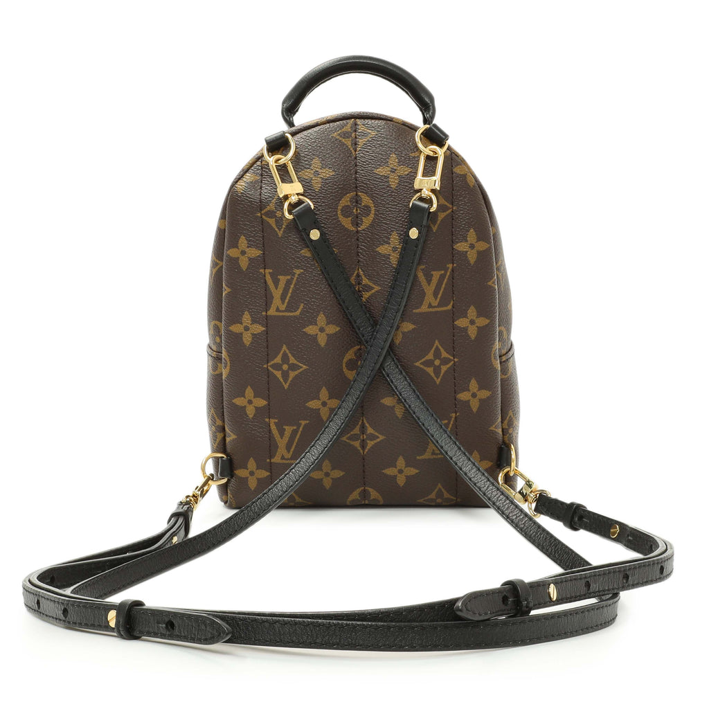 Louis Vuitton Monogram Palm Springs Backpack Mini