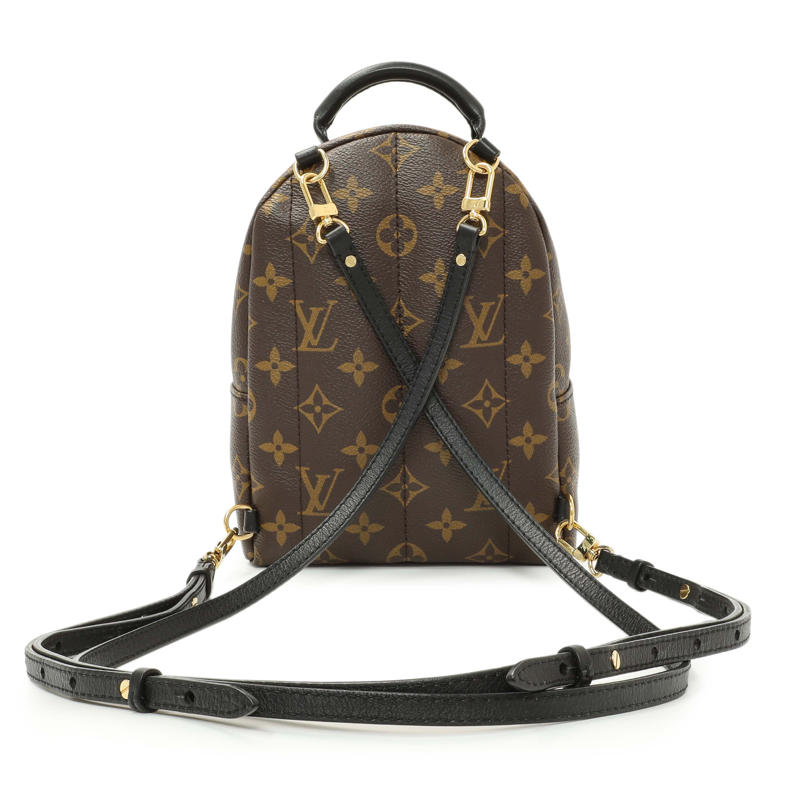 Louis Vuitton Monogram Palm Springs Backpack Mini