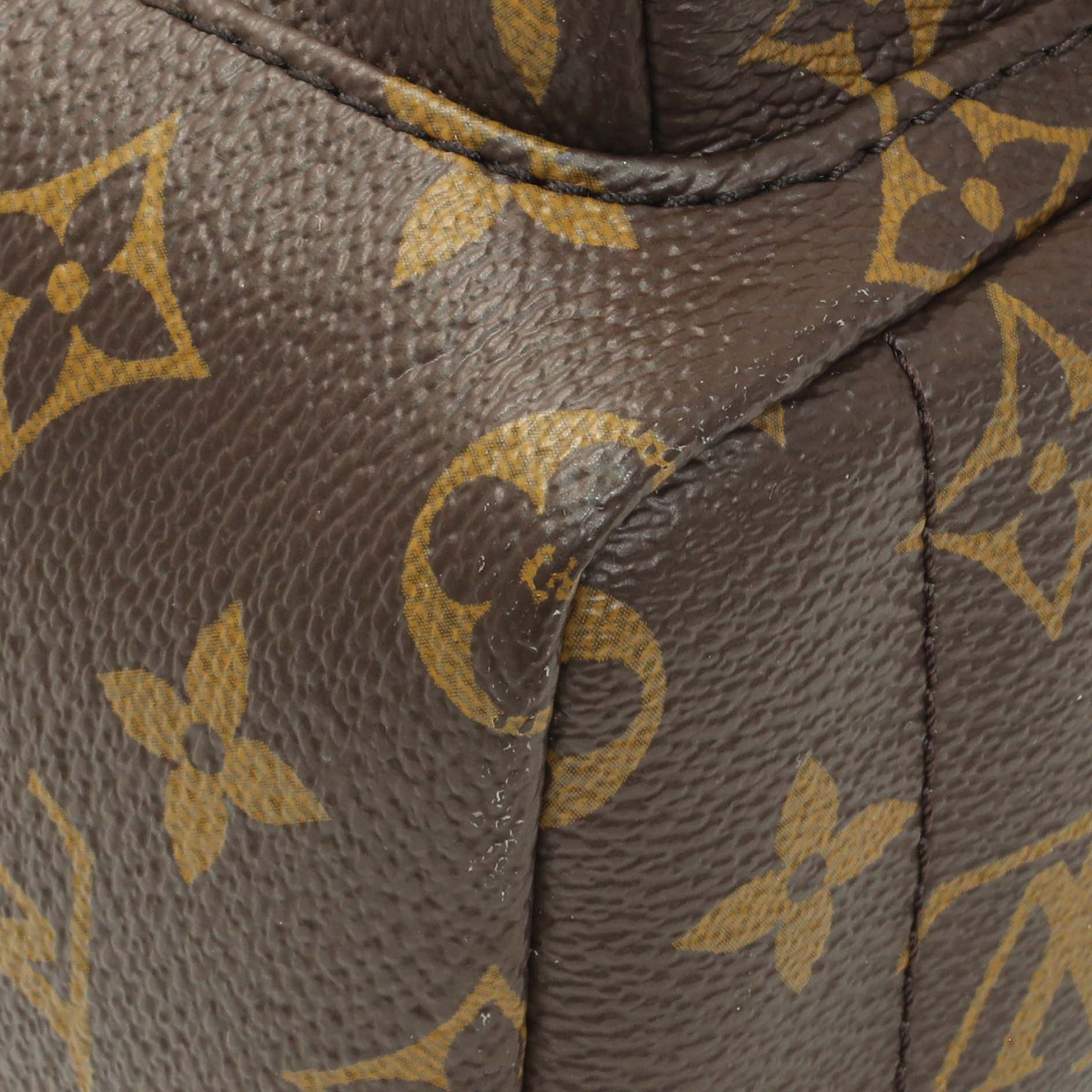 Louis Vuitton Monogram Palm Springs Backpack Mini