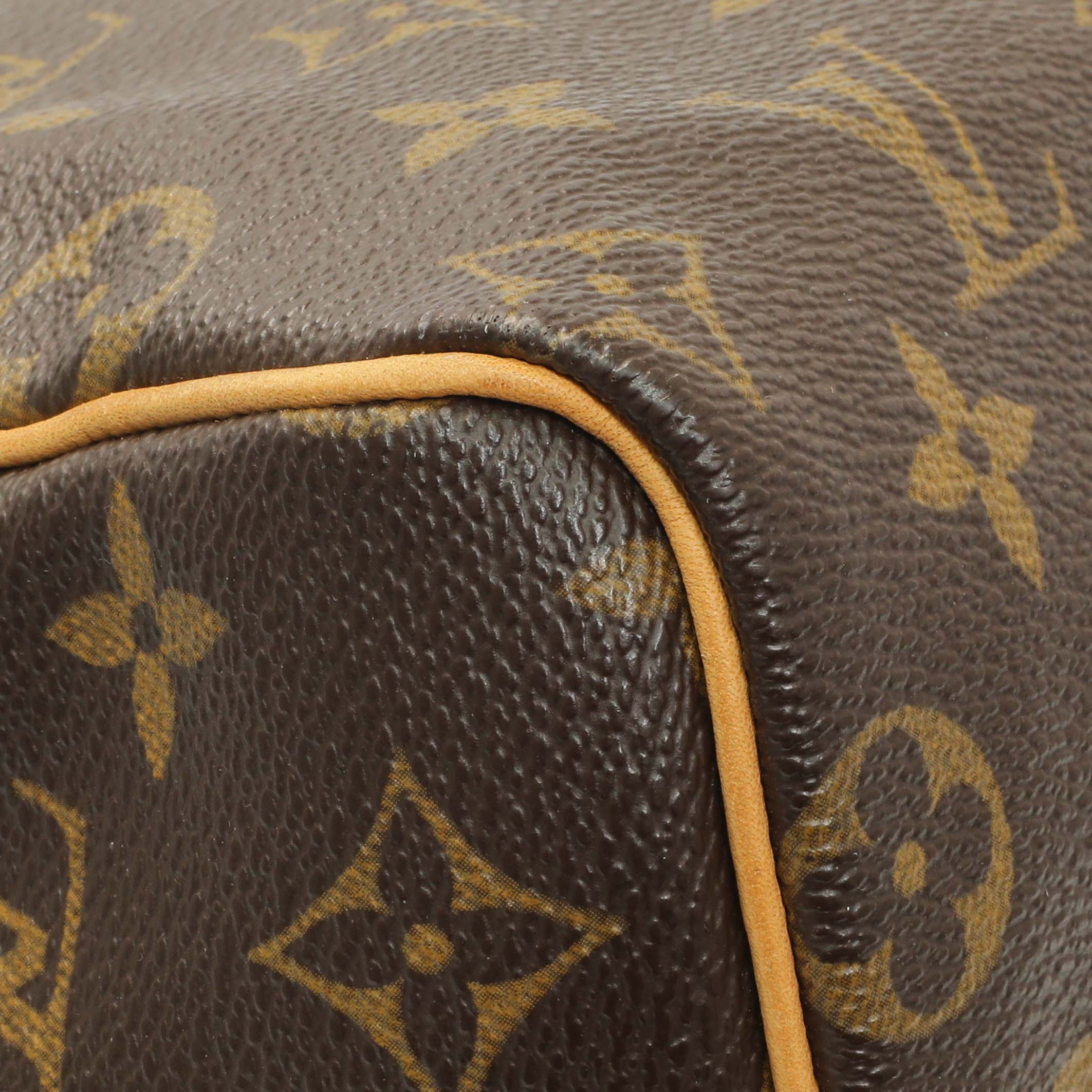 Louis Vuitton Monogram Speedy 25