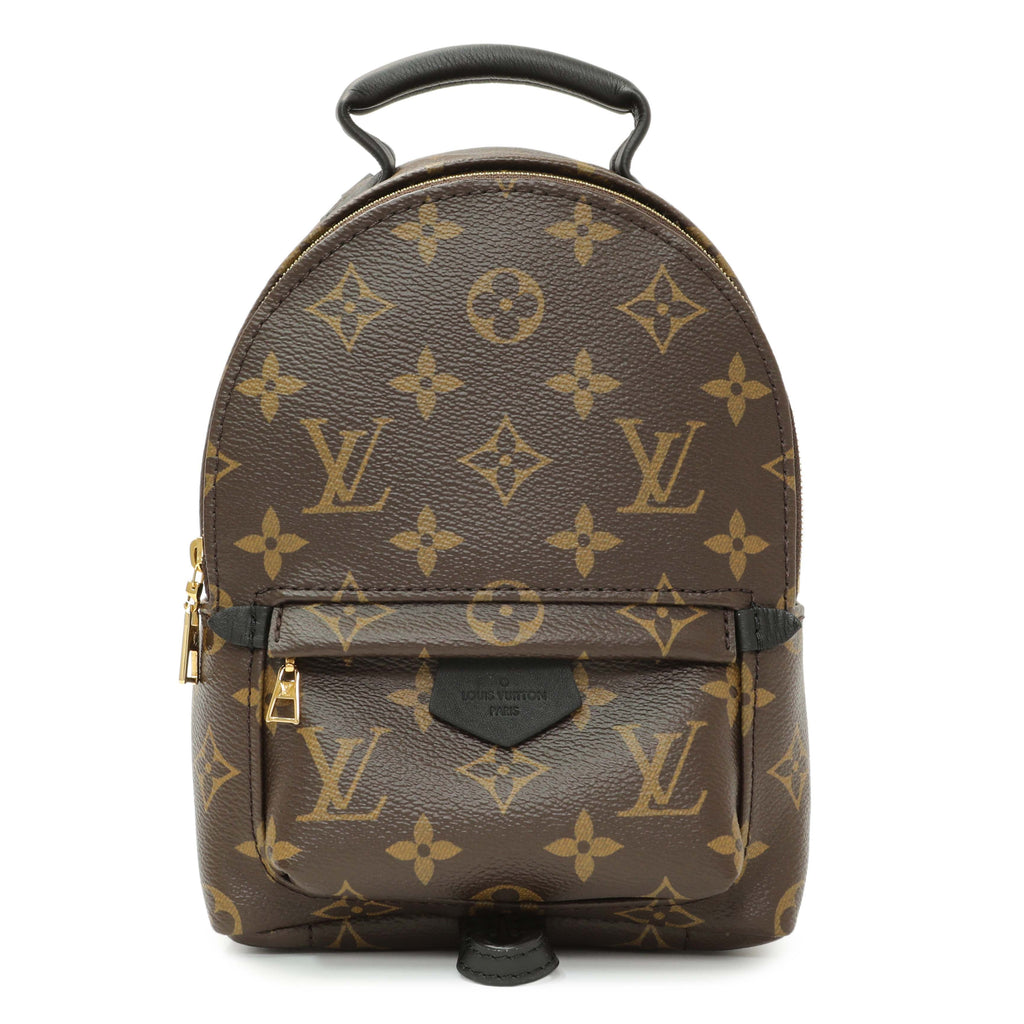 Louis Vuitton Monogram Palm Springs Backpack Mini