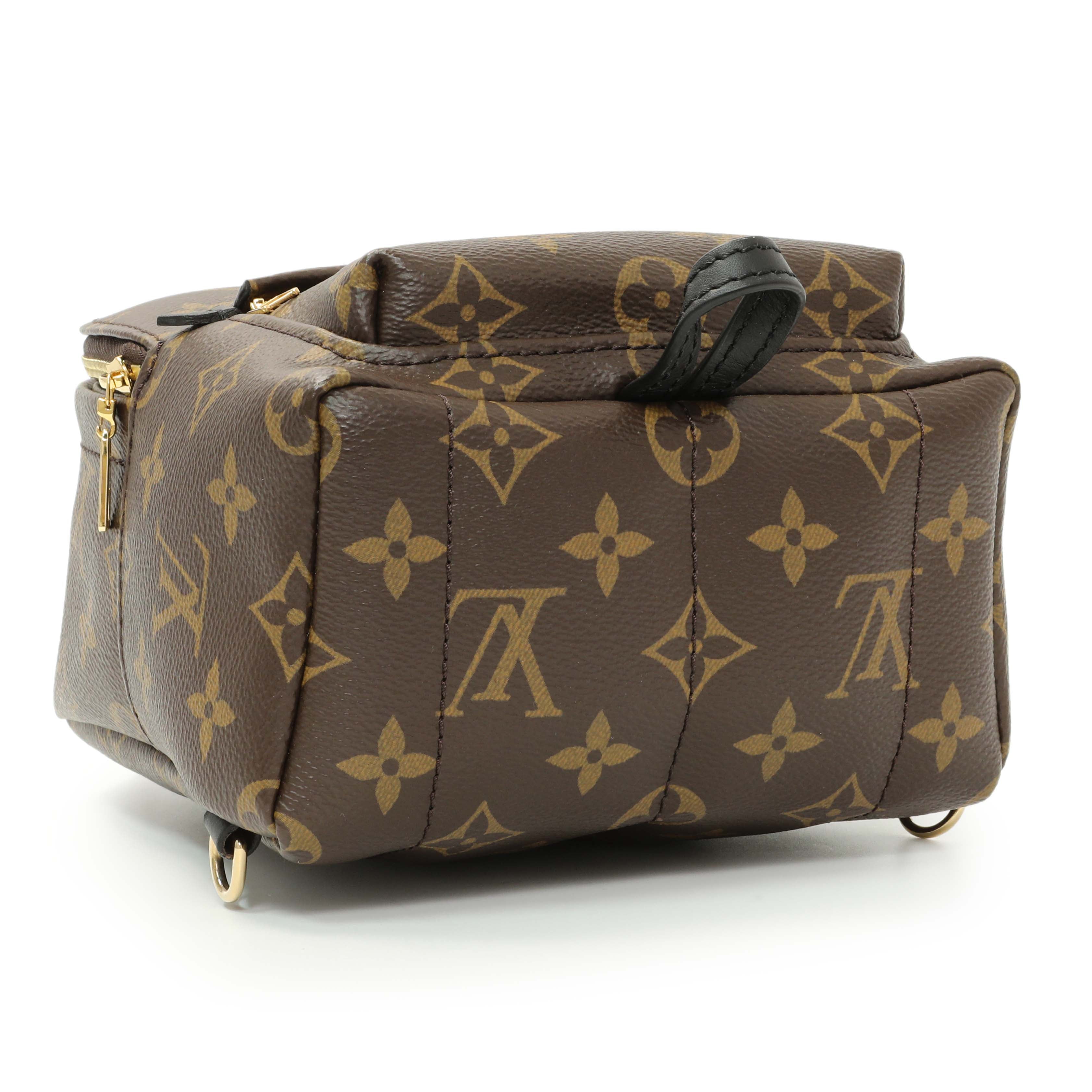 Louis Vuitton Monogram Palm Springs Backpack Mini