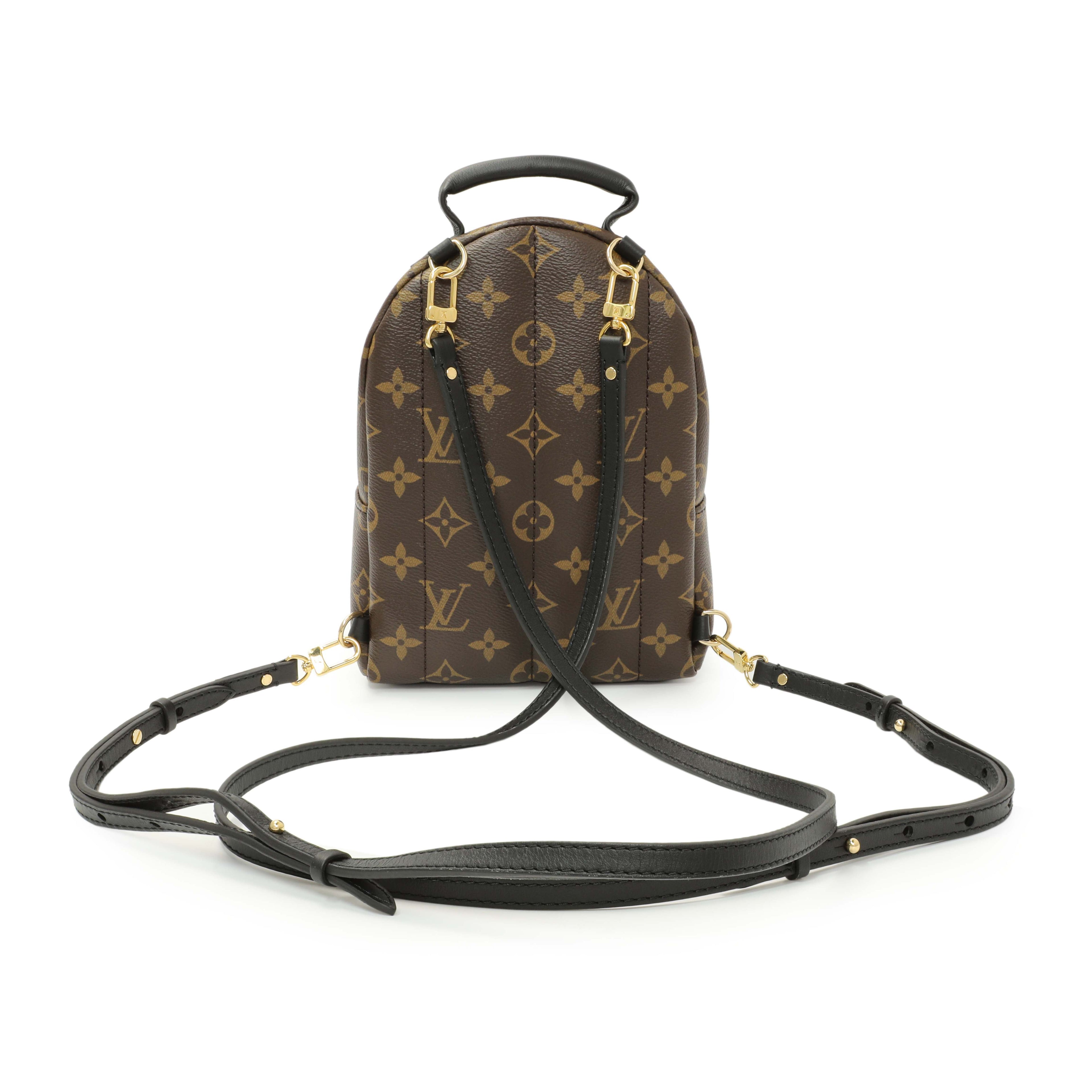 Louis Vuitton Monogram Palm Springs Backpack Mini