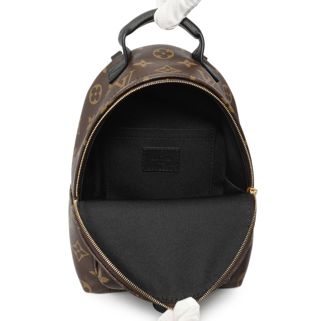 Louis Vuitton Monogram Palm Springs Backpack Mini