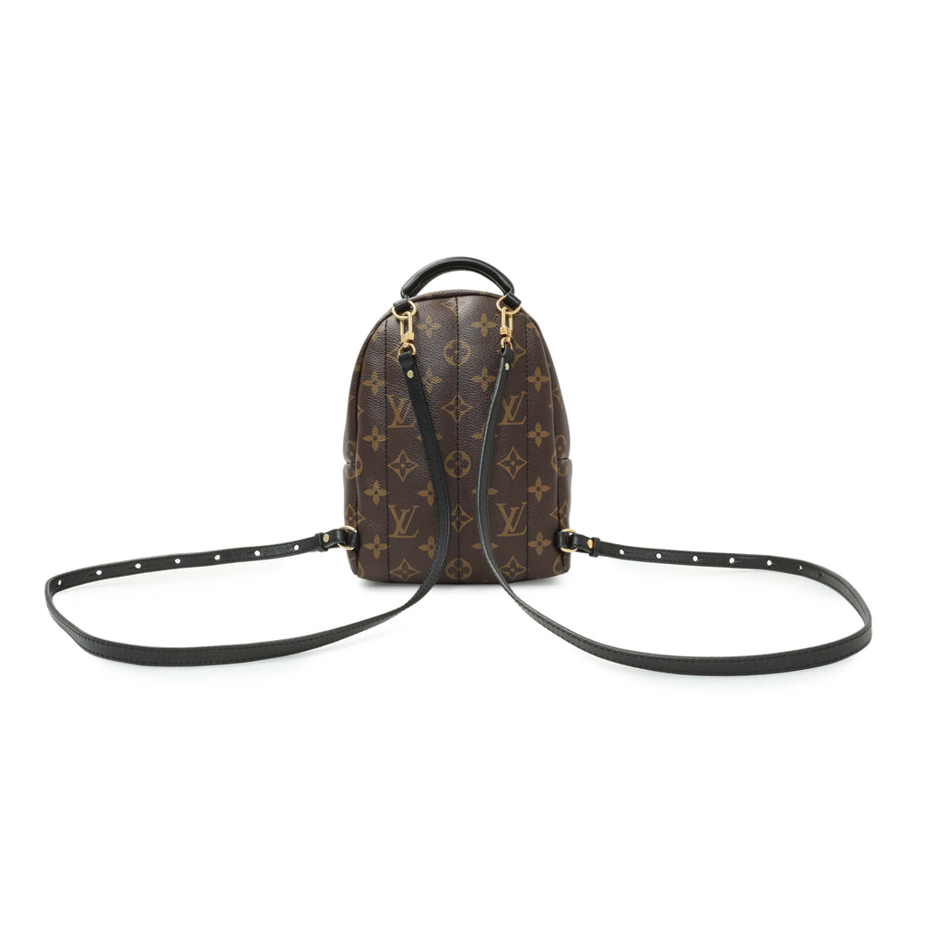 Louis Vuitton Monogram Palm Springs Backpack Mini