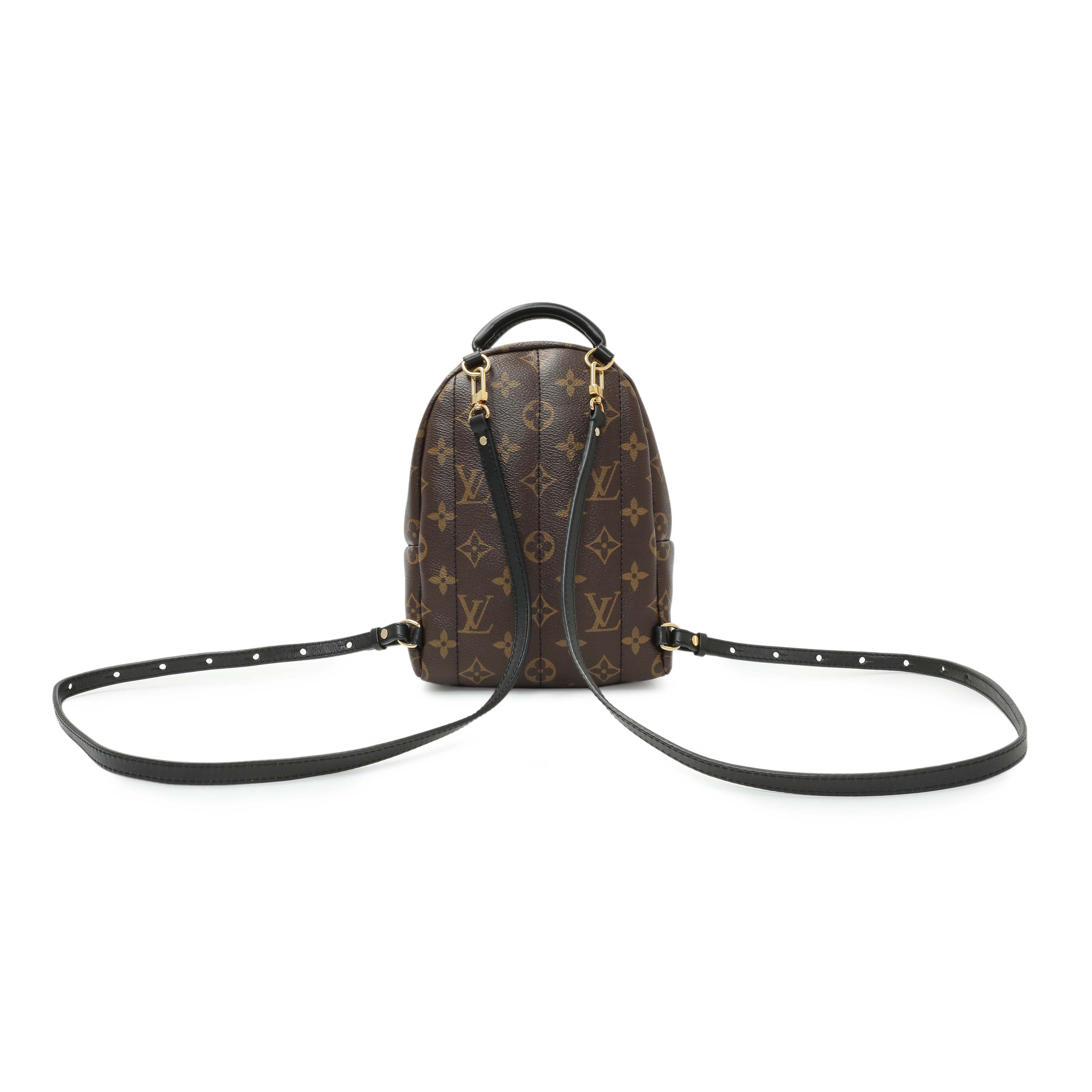 Louis Vuitton Monogram Palm Springs Backpack Mini