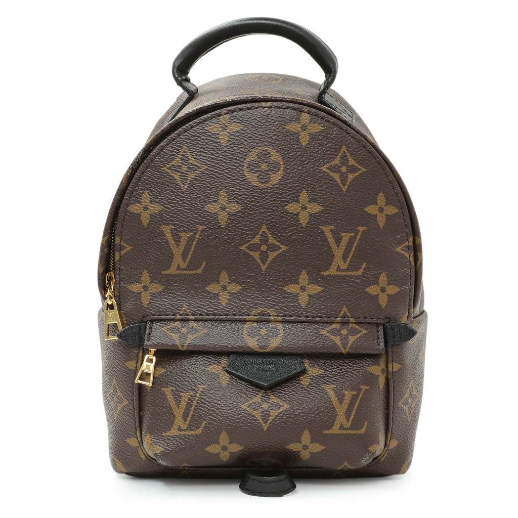 Louis Vuitton Monogram Palm Springs Backpack Mini