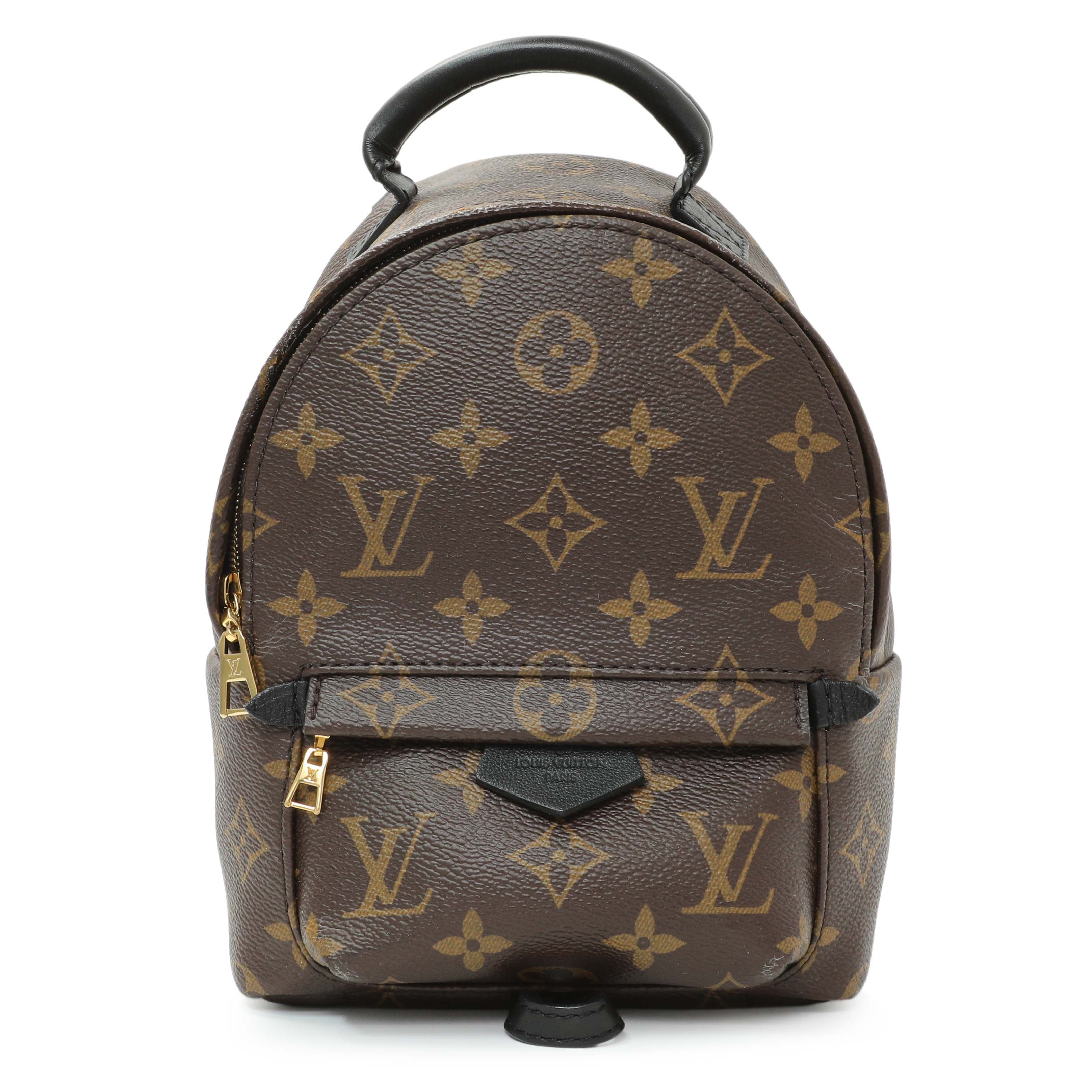 Louis Vuitton Monogram Palm Springs Backpack Mini