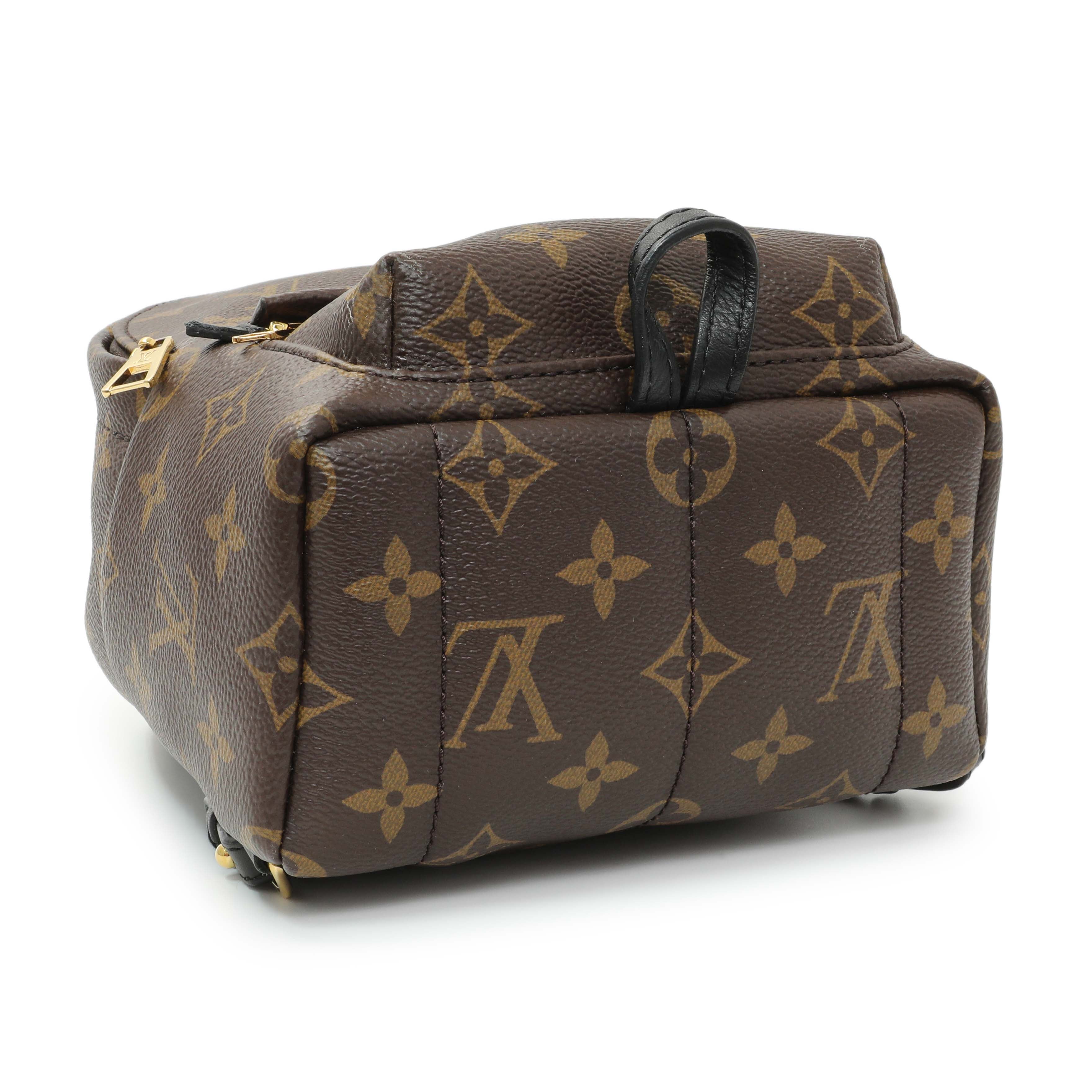 Louis Vuitton Monogram Palm Springs Backpack Mini