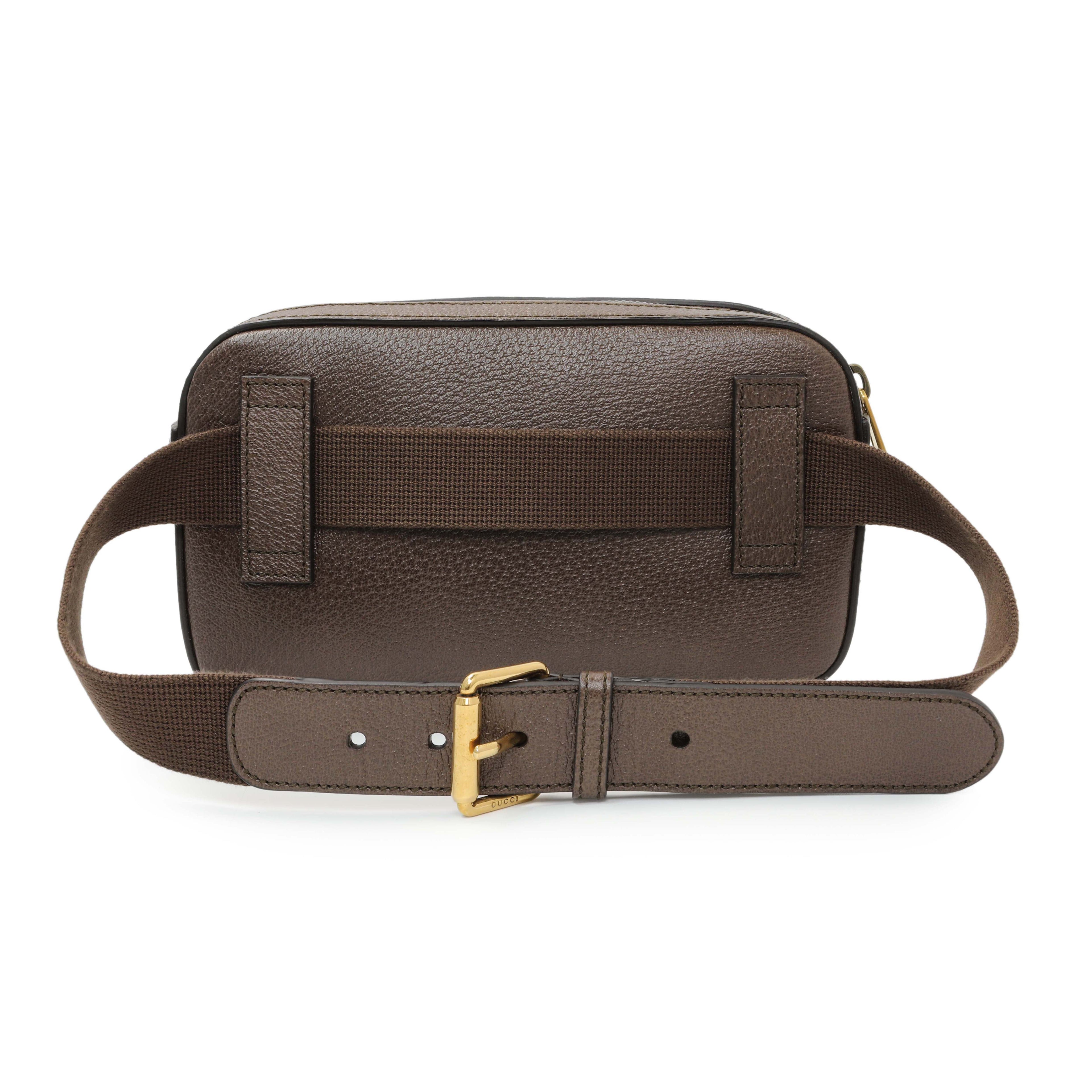 Gucci Textured Dollar Calfskin Gucci 100 Aria Belt Bag