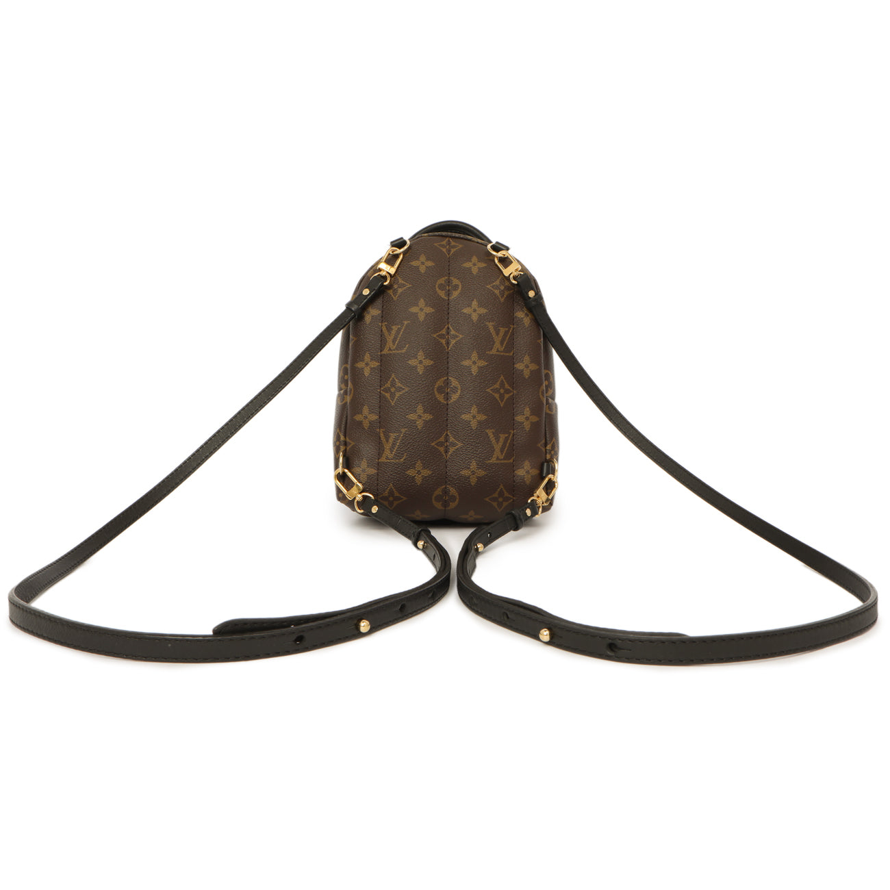 Louis Vuitton Monogram World Tour Palm Springs Backpack Mini