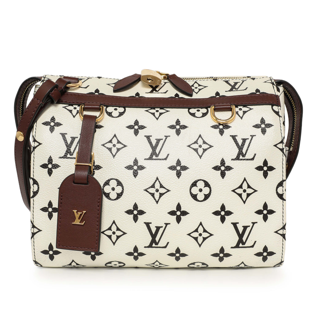 Louis Vuitton Monogram Speedy Amazon PM
