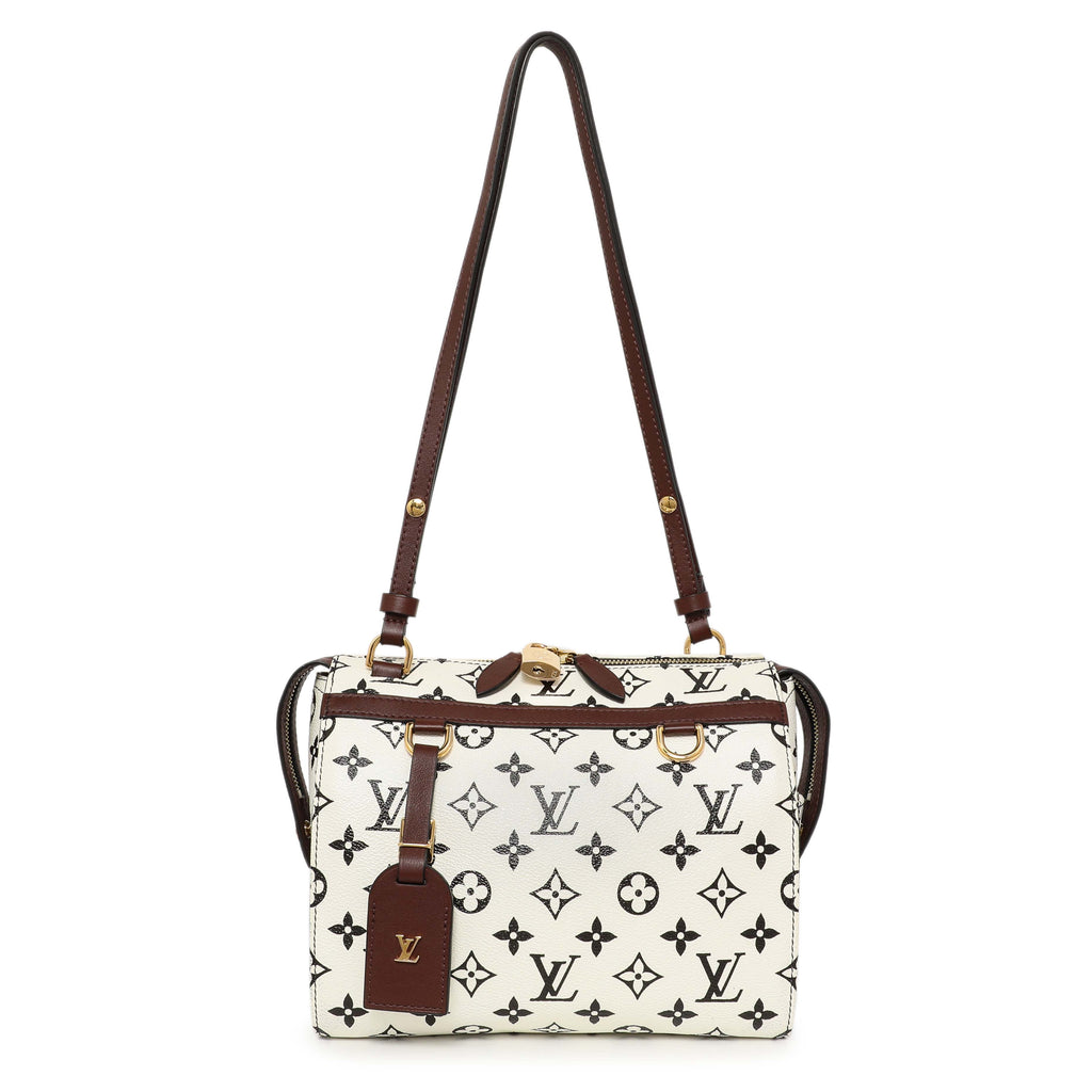 Louis Vuitton Monogram Speedy Amazon PM