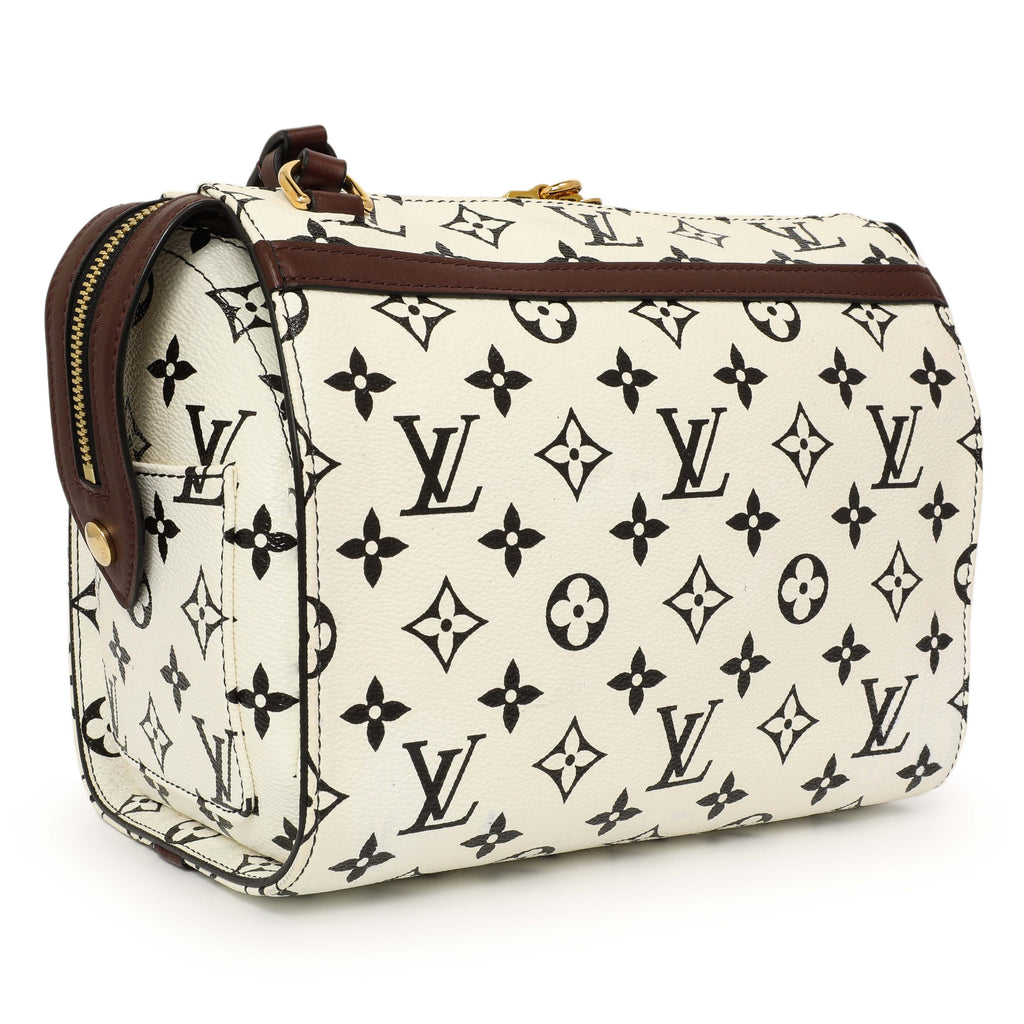 Louis Vuitton Monogram Speedy Amazon PM