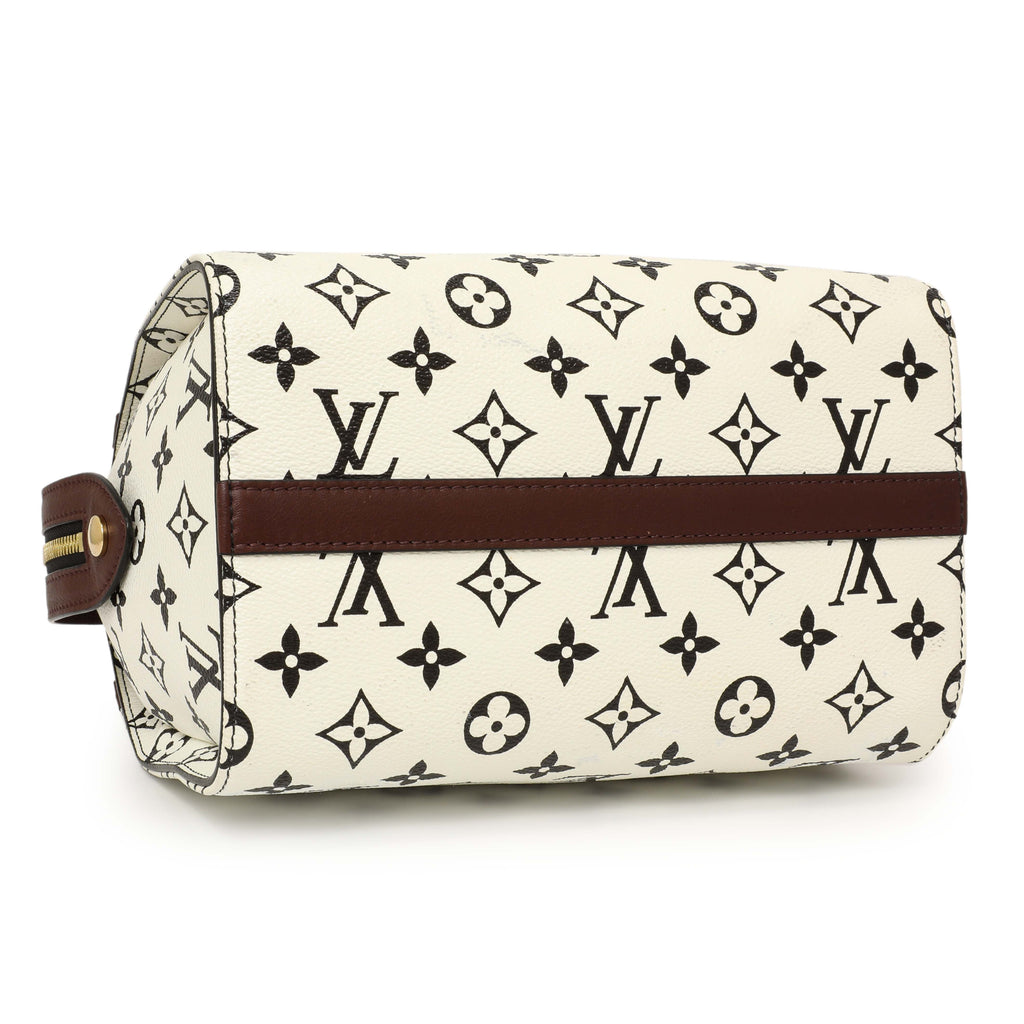 Louis Vuitton Monogram Speedy Amazon PM
