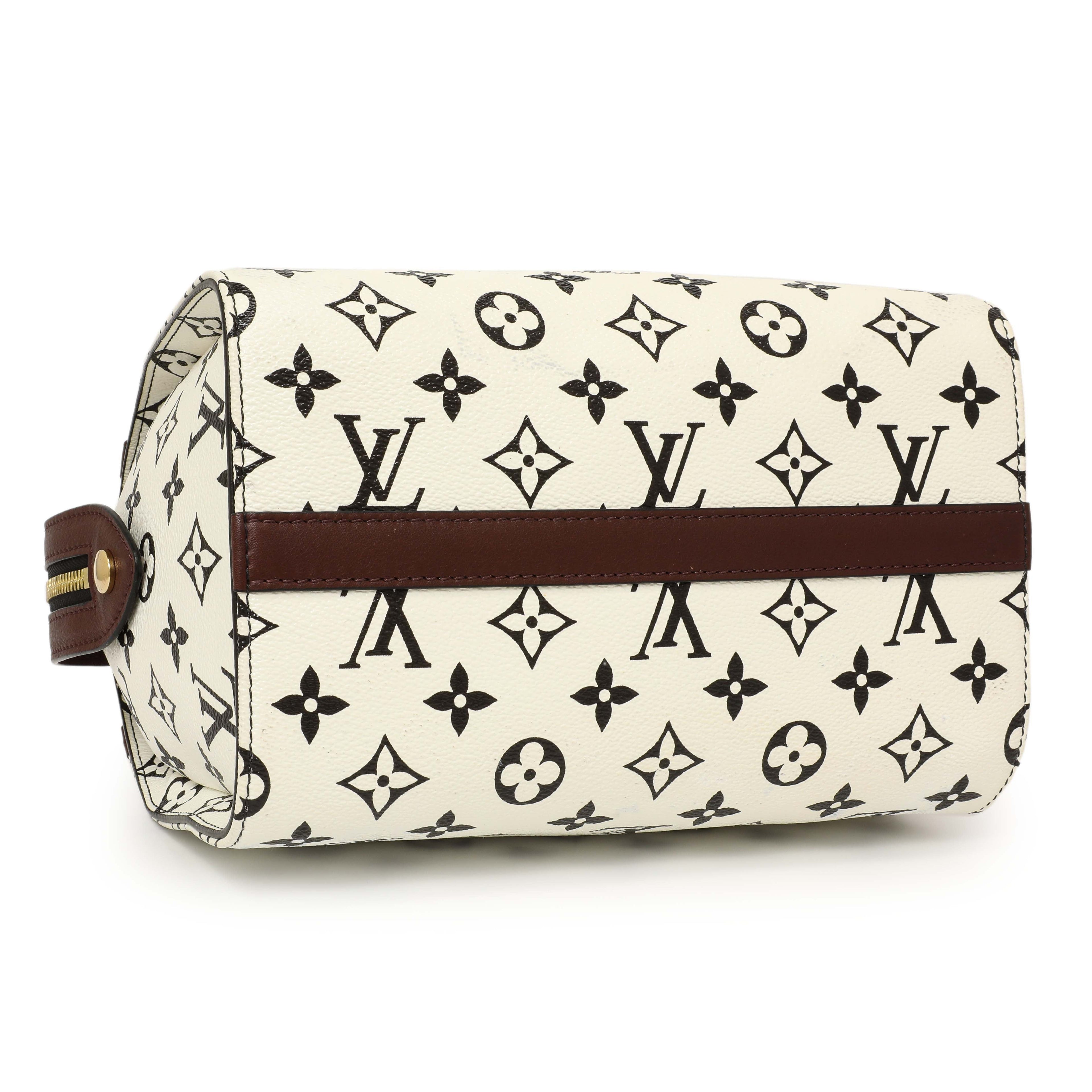 Louis Vuitton Monogram Speedy Amazon PM