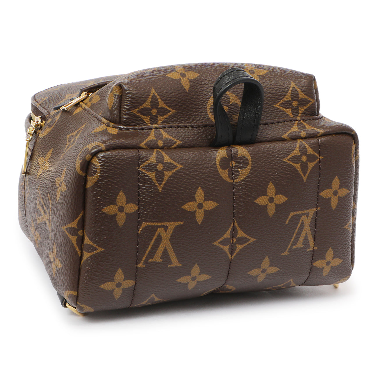 Louis Vuitton Monogram Palm Springs Backpack Mini