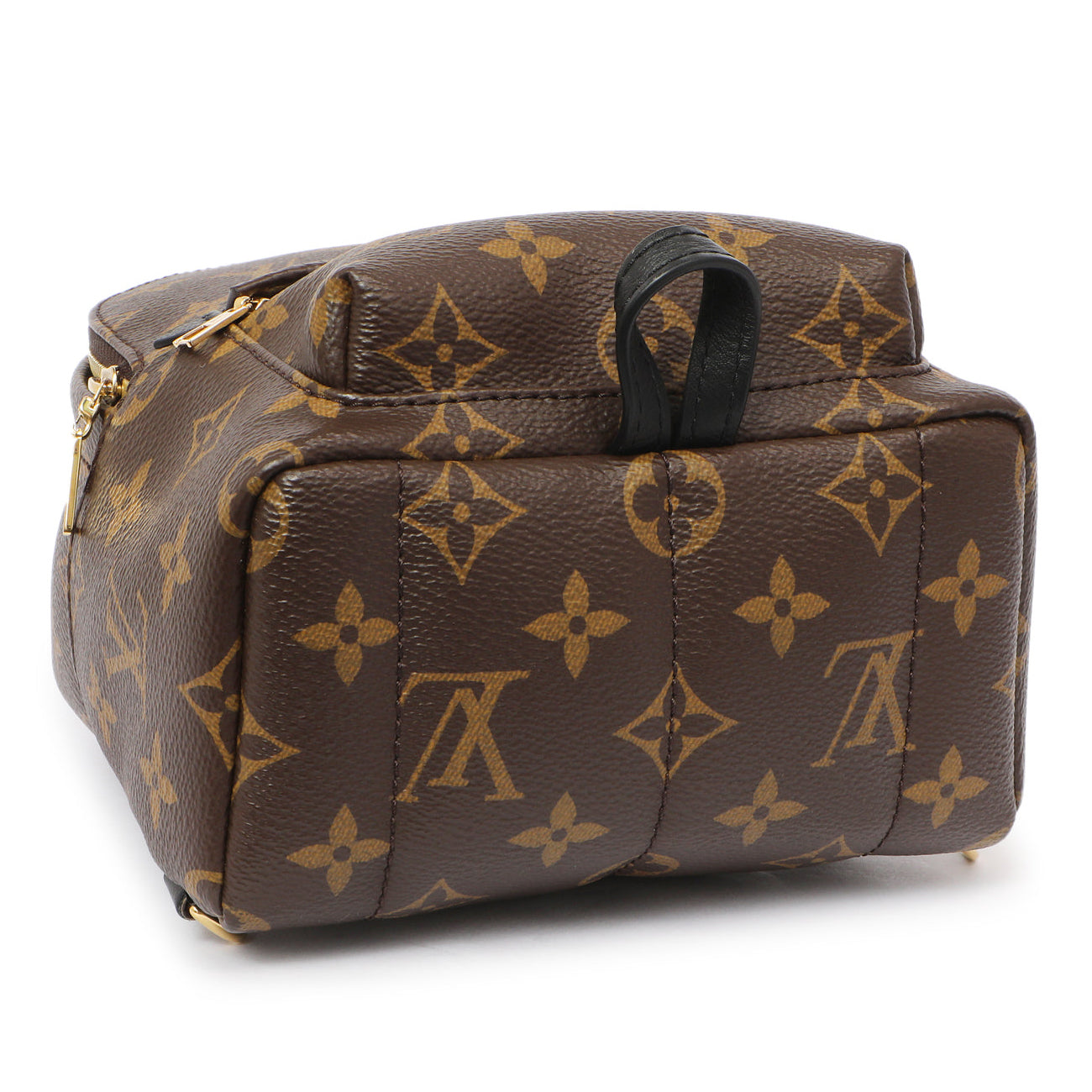 Louis Vuitton Monogram Palm Springs Backpack Mini