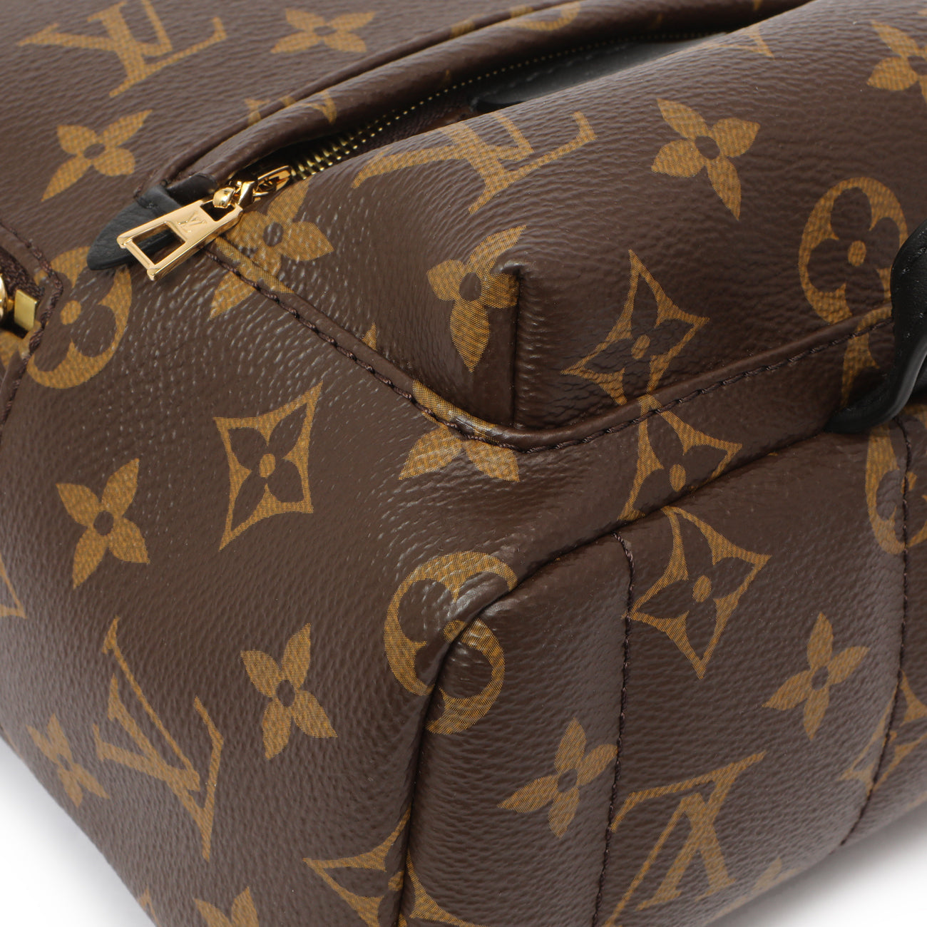 Louis Vuitton Monogram Palm Springs Backpack Mini