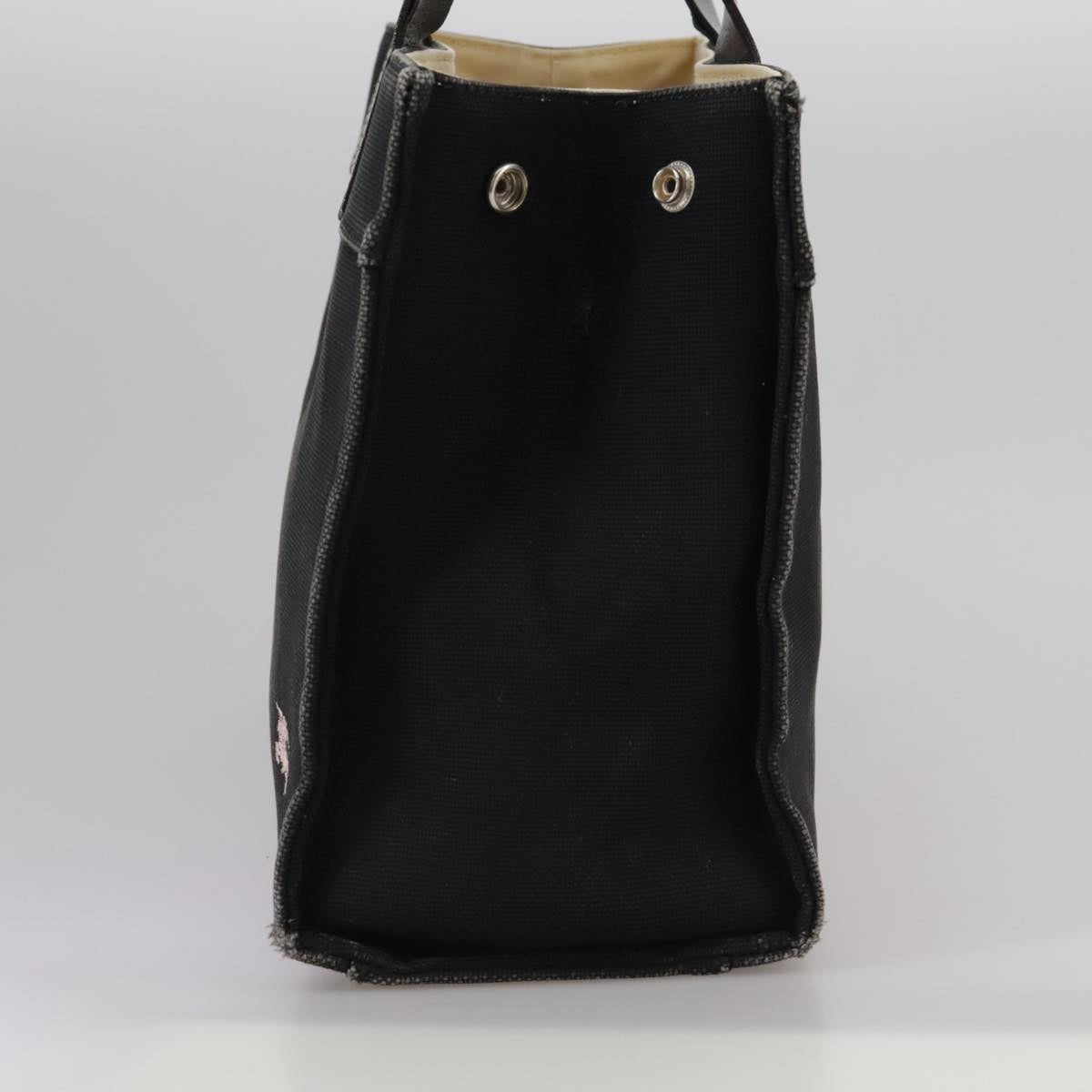 BURBERRY Blue Label Hand Bag Canvas Black 106862