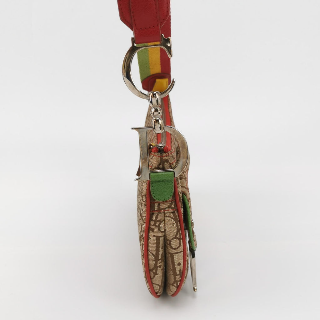 Dior Rasta Trotter Double Saddle Crossbody Shoulder Bag