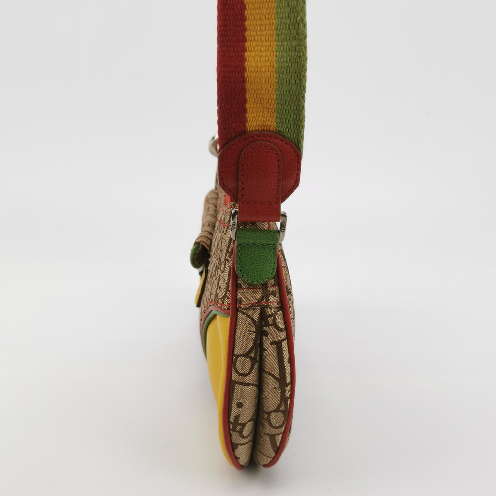 Dior Rasta Trotter Double Saddle Crossbody Shoulder Bag