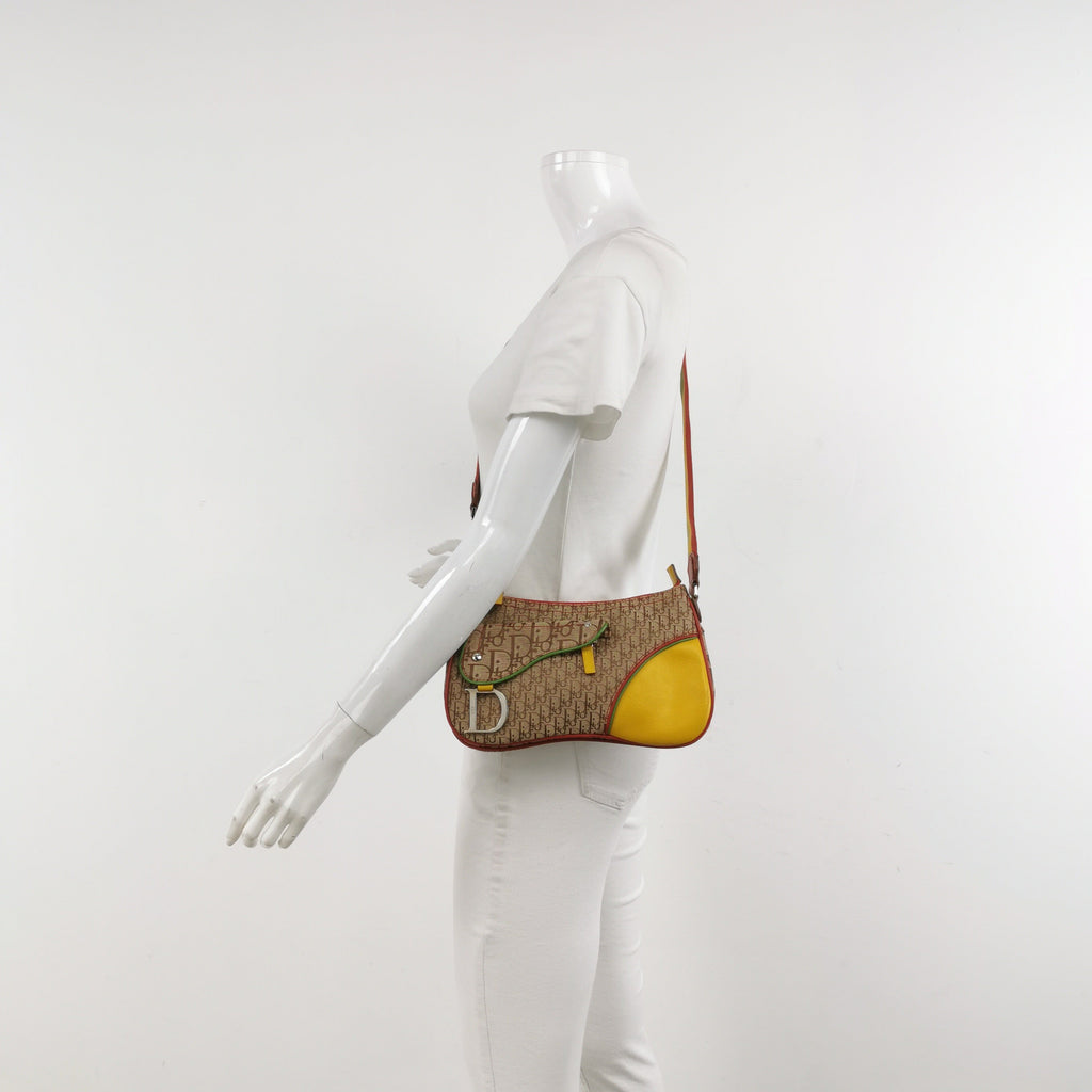 Dior Rasta Trotter Double Saddle Crossbody Shoulder Bag