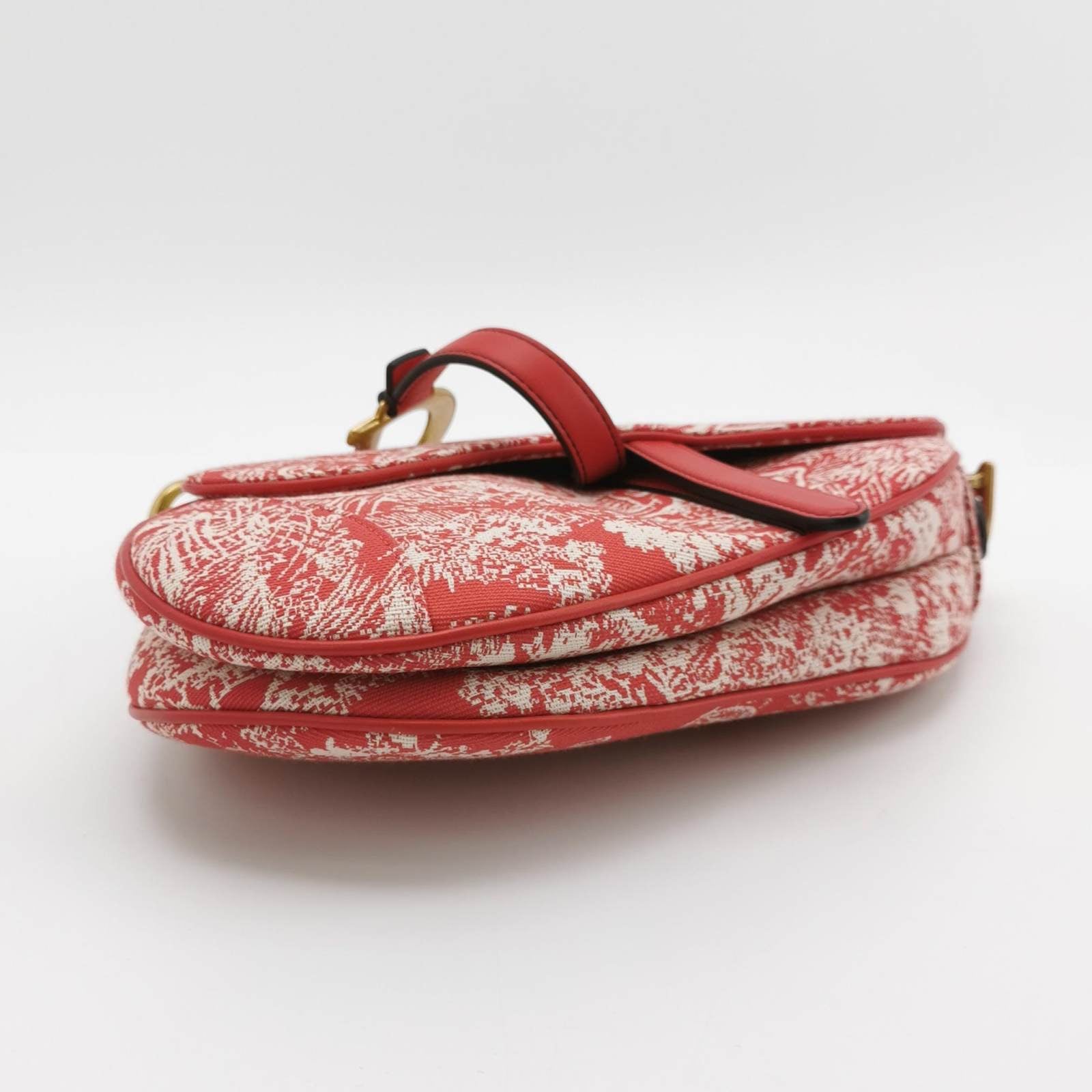 Christian Dior Saddle Medium Red Canvas Rain Forest Prints