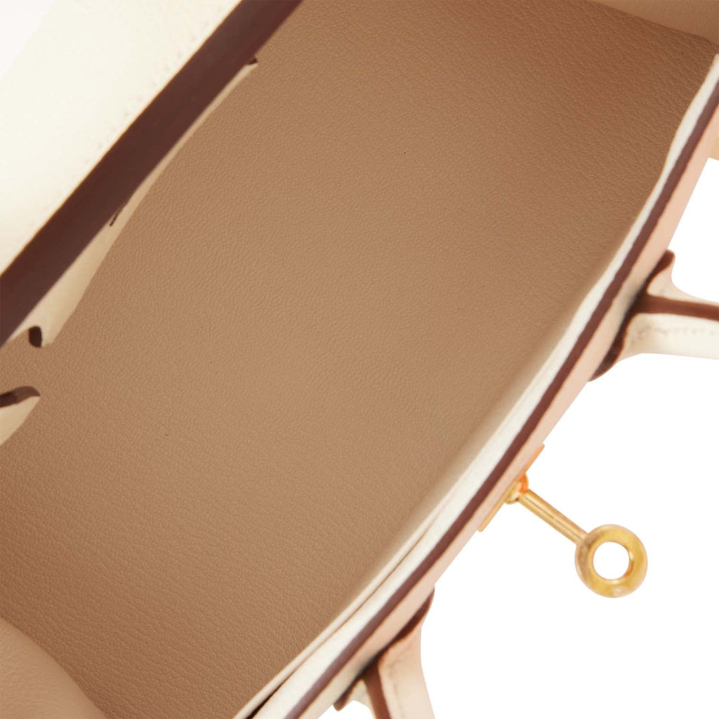 Hermes Birkin Sellier 25 Nata Epsom Gold Hardware