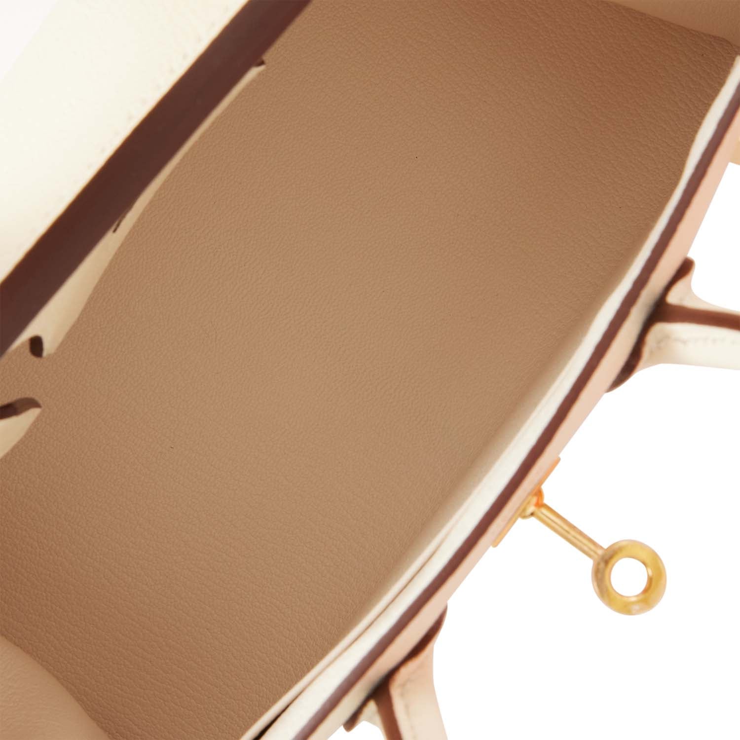 Hermes Birkin Sellier 25 Nata Epsom Gold Hardware