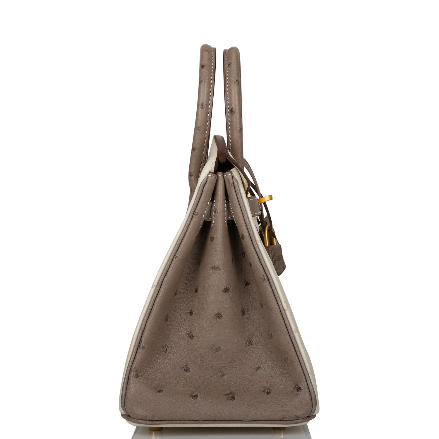 Hermes Special Order (HSS) Birkin 25 Beton and Gris Asphalte Ostrich Brushed Gold Hardware